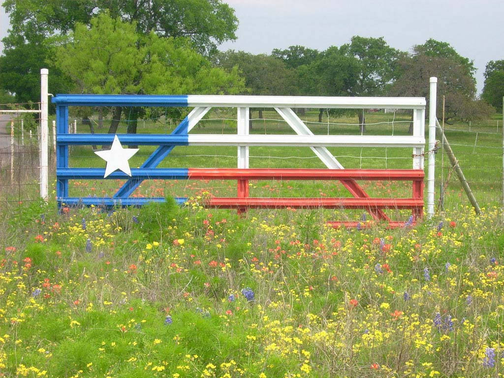 Texas flag, metal gate, wildflowers, SD Desktop Wallpaper
