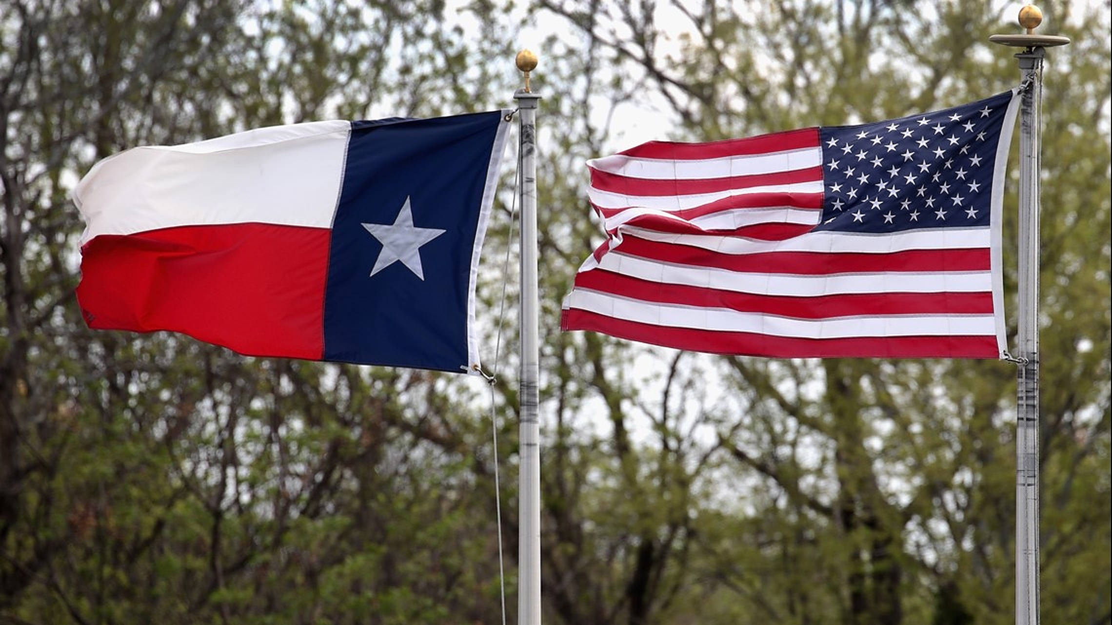 Texas flag, American flag, green trees, Full HD Desktop Wallpaper