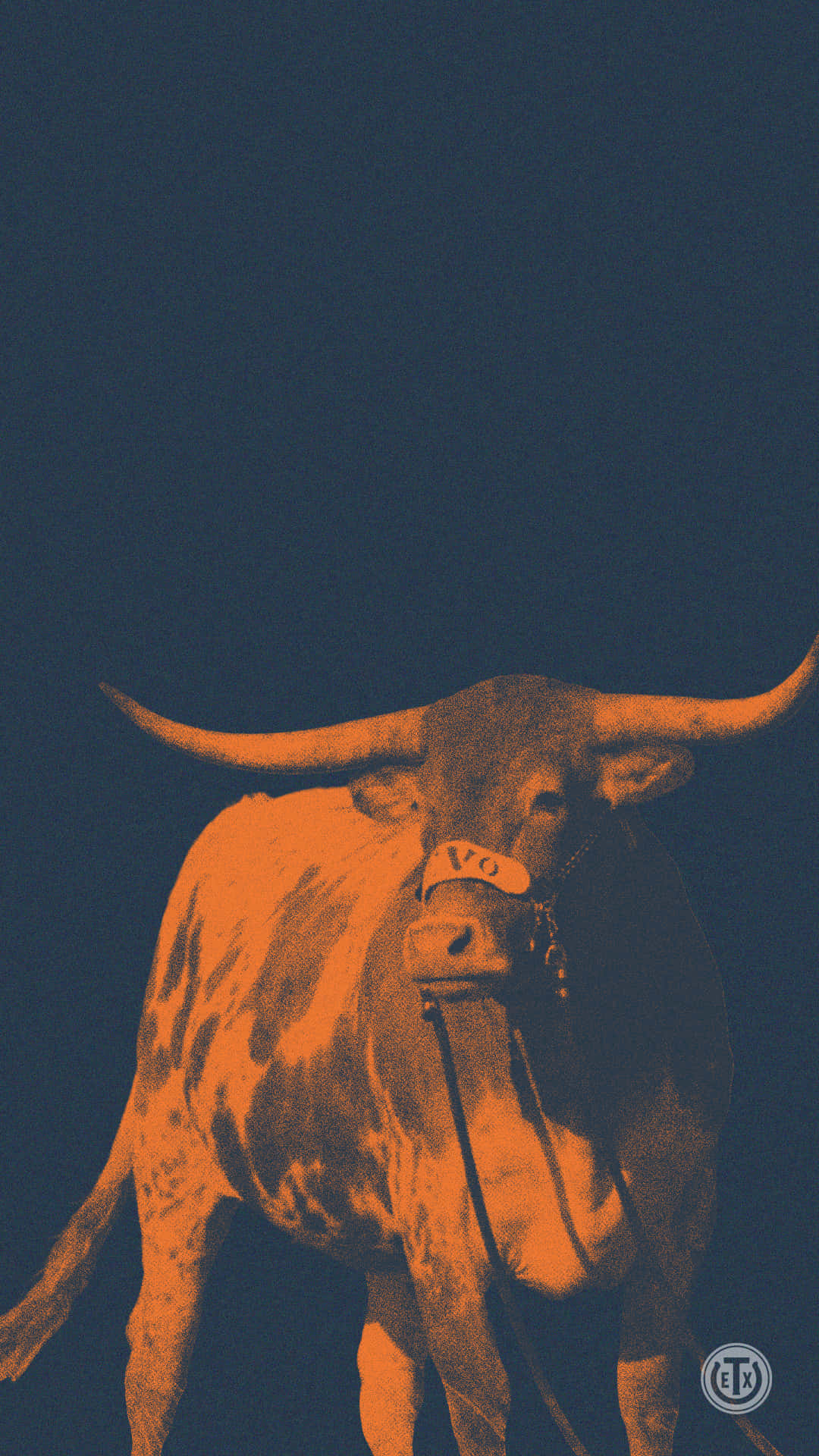 Texas iPhone, longhorn bull, stark orange, Full HD Phone Wallpaper