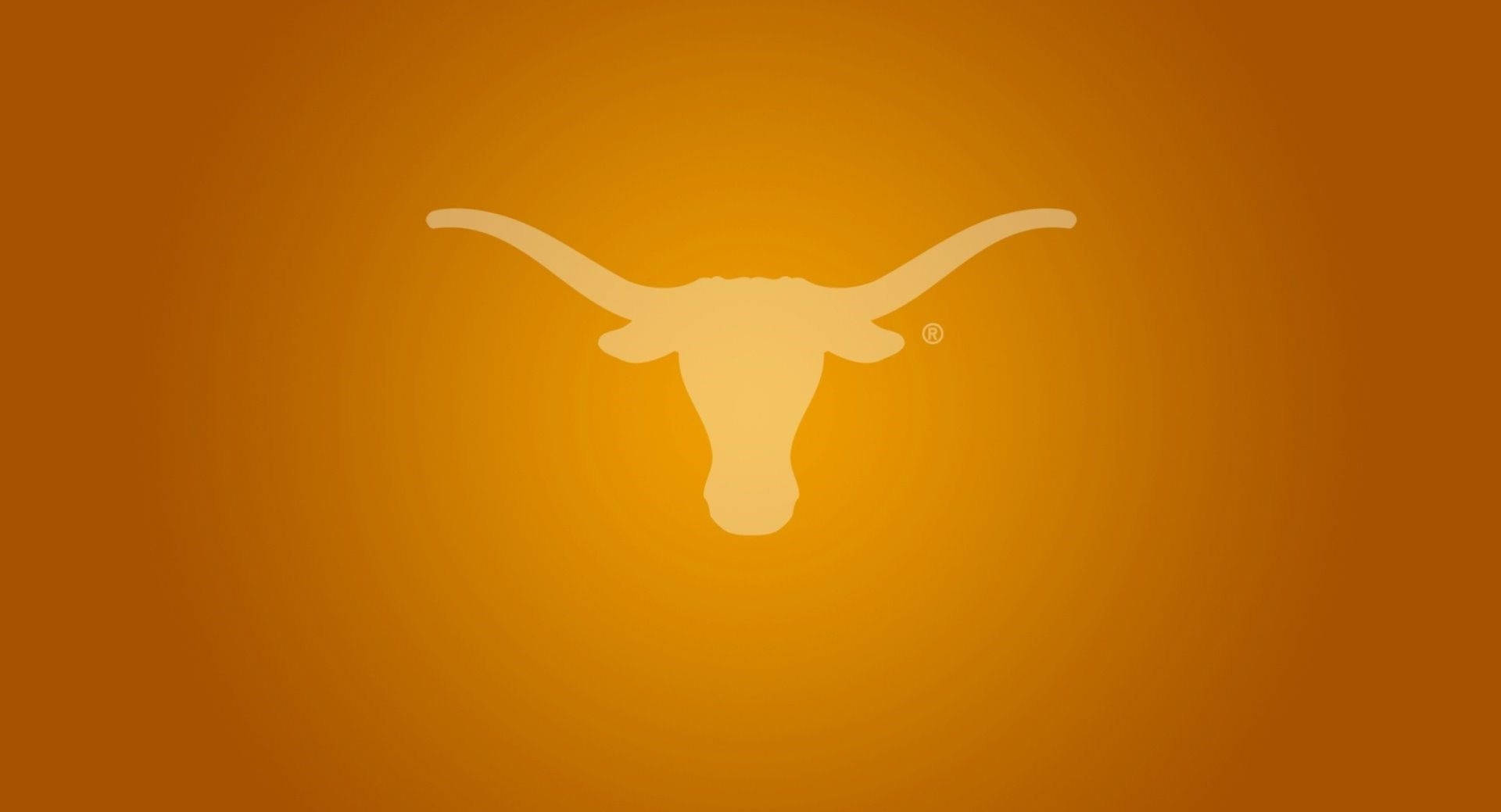 Texas Longhorns, longhorn bull head, orange background, Full HD Desktop Wallpaper