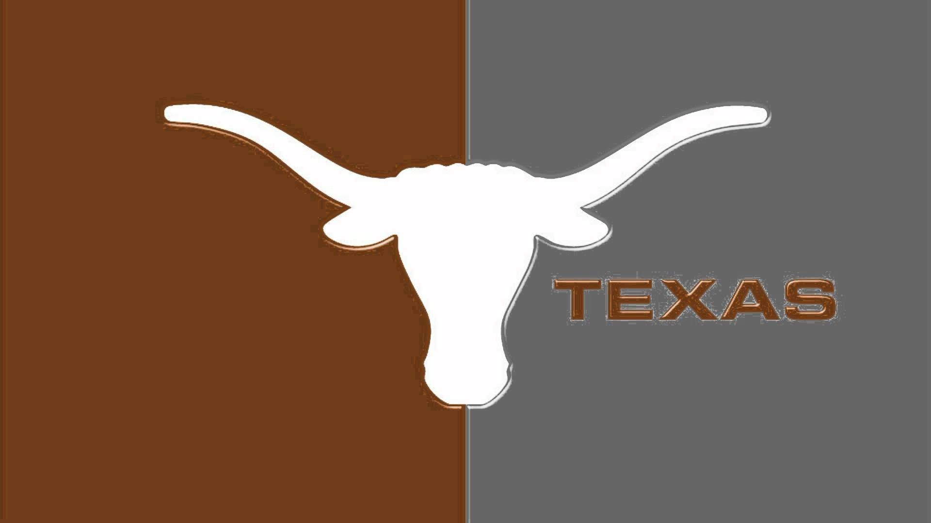 Texas Longhorns, white longhorn silhouette, brown background, Full HD Desktop Wallpaper