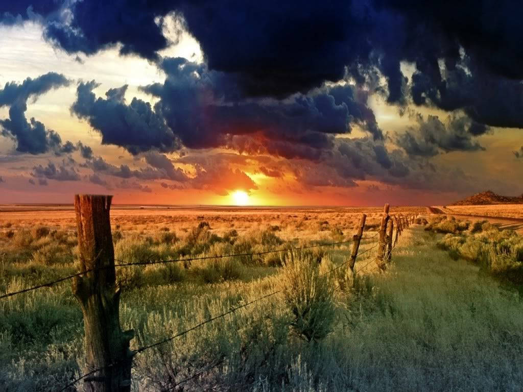 Texas, country fence, sunset, SD Desktop Wallpaper
