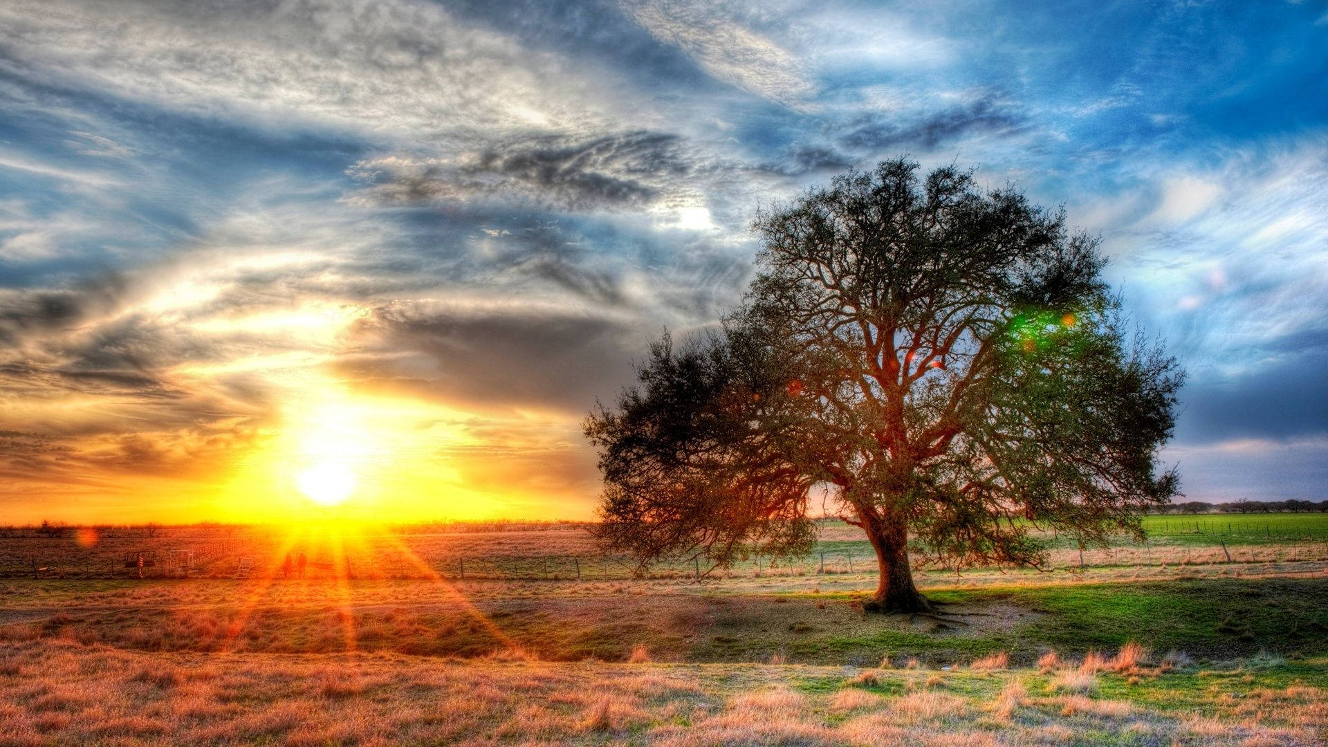 Texas, country side field, sunset, Full HD Desktop Wallpaper