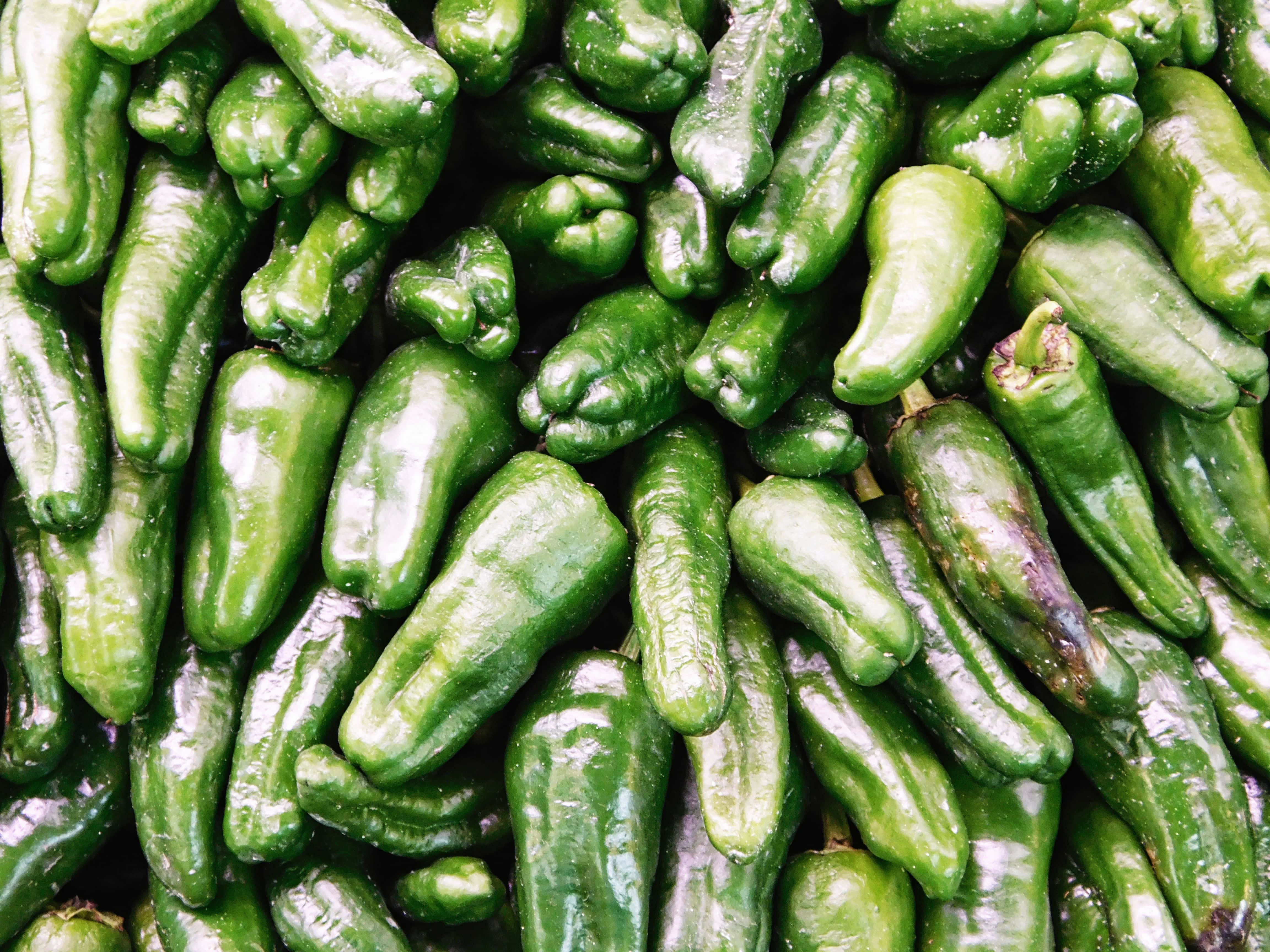 glossy green peppers, varied shapes, subtle purple stems, 4K Desktop Wallpaper
