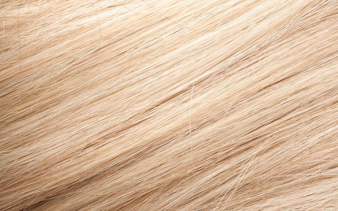 Textured Hair