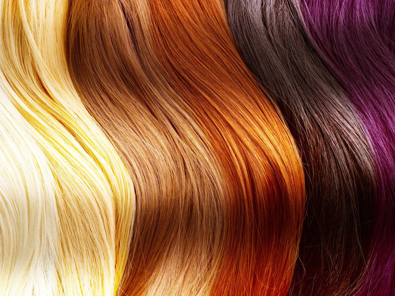vibrant hair color spectrum, wavy hair strands, gradient hues, HD Desktop Wallpaper