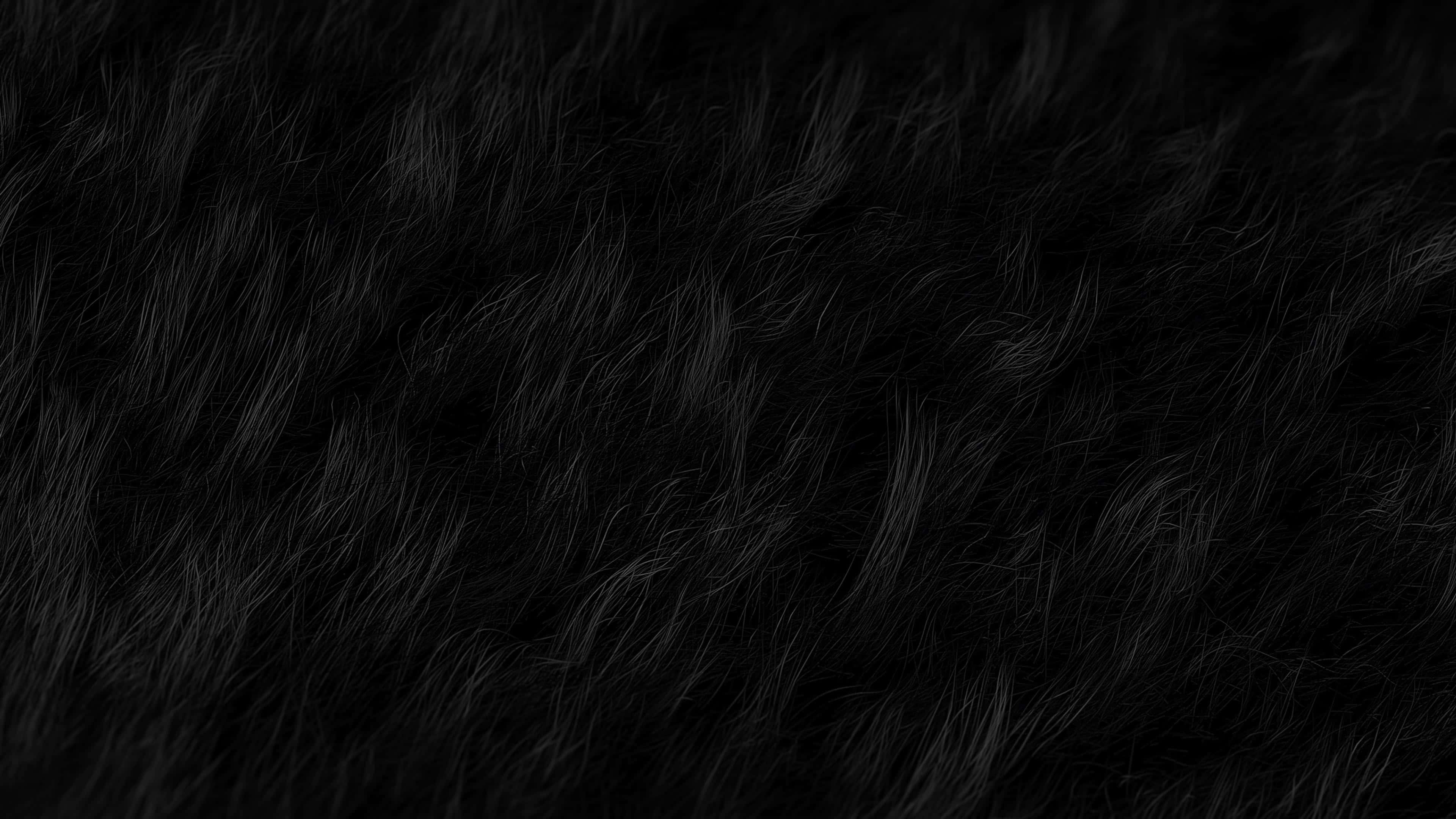 black, textured hair, closeup, 4K Desktop Wallpaper