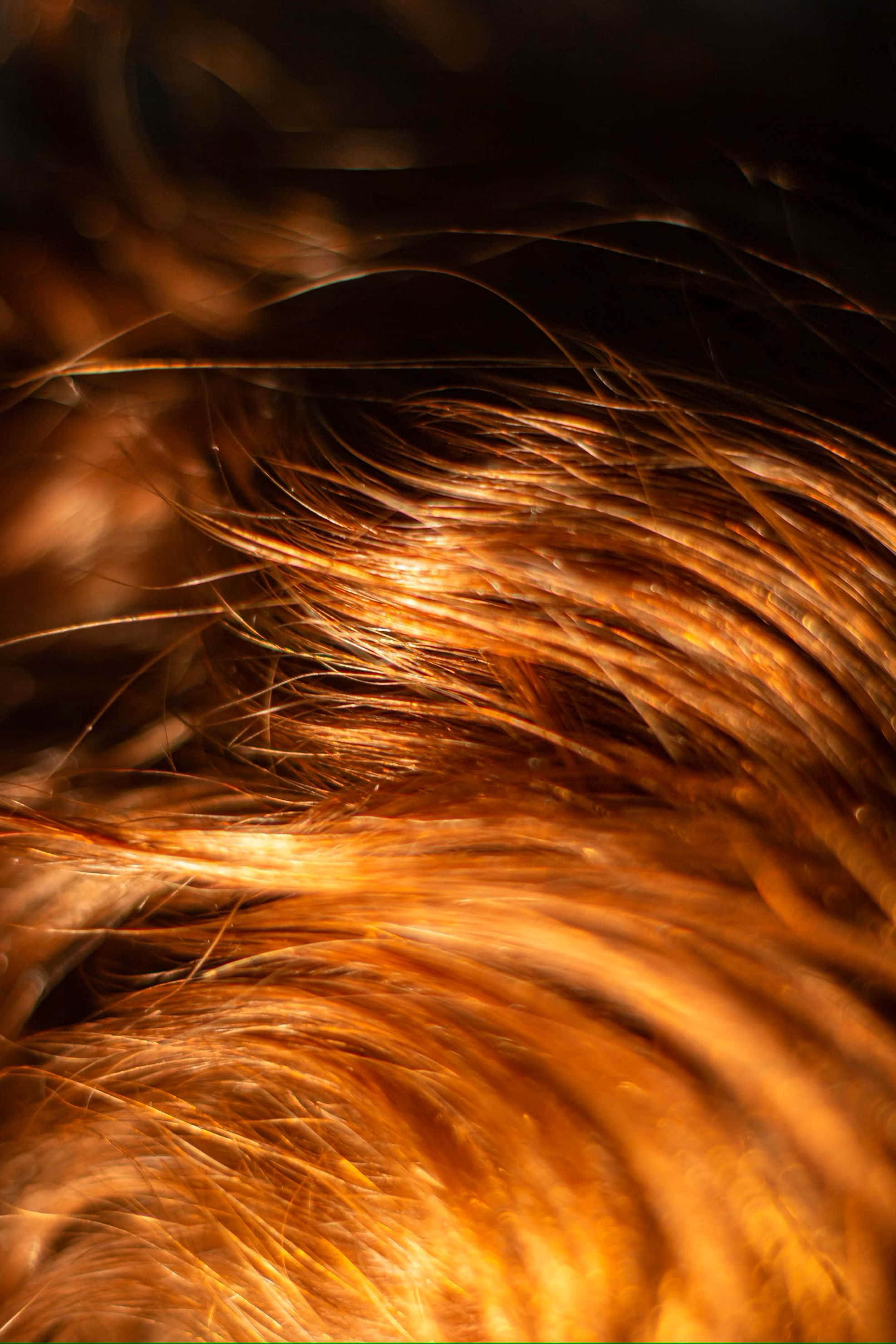 glowing textured hair, golden amber hair, soft light, 2K Phone Wallpaper