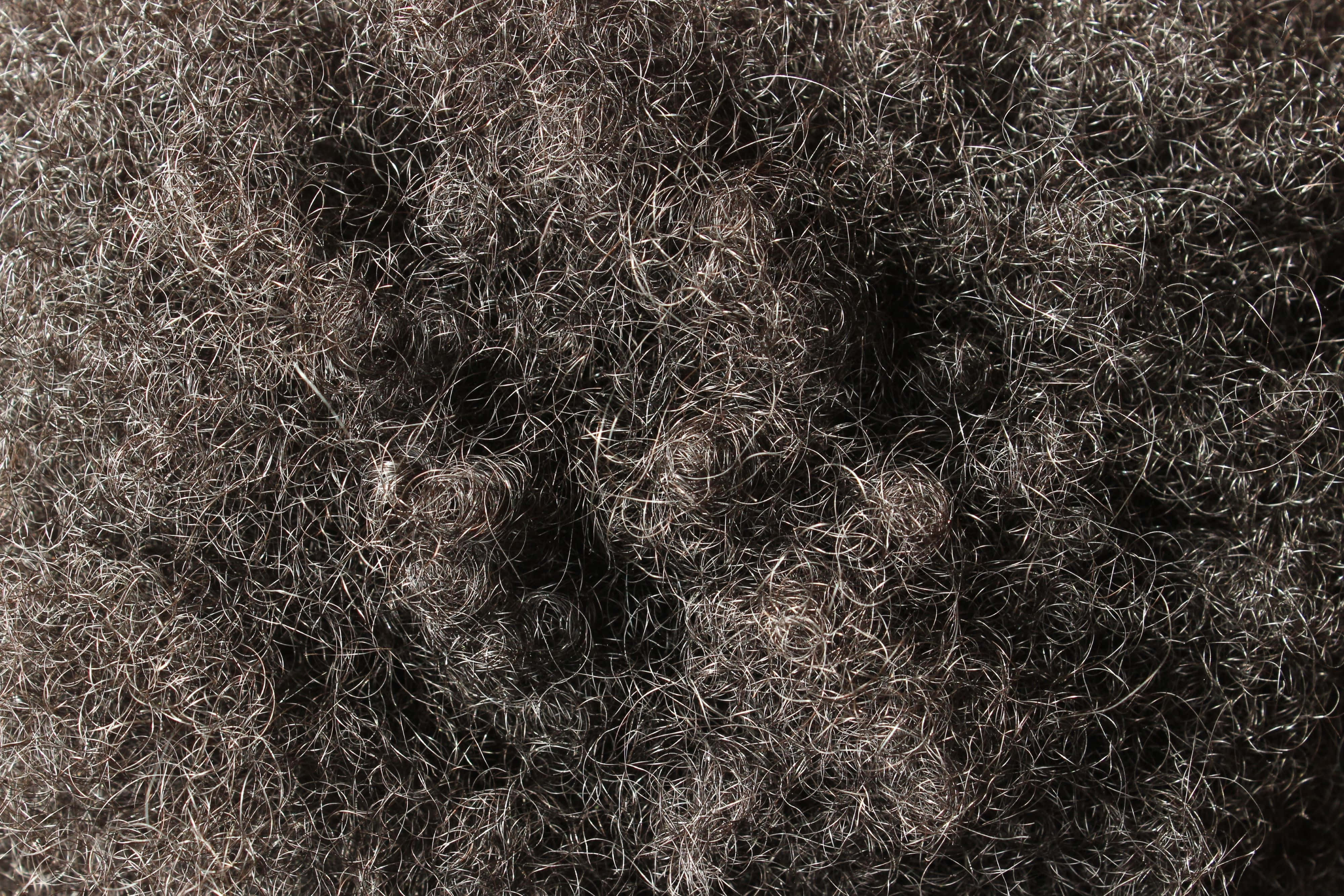textured black hair, dense dark gray curly hair, subtle silver highlights, 4K Desktop Wallpaper