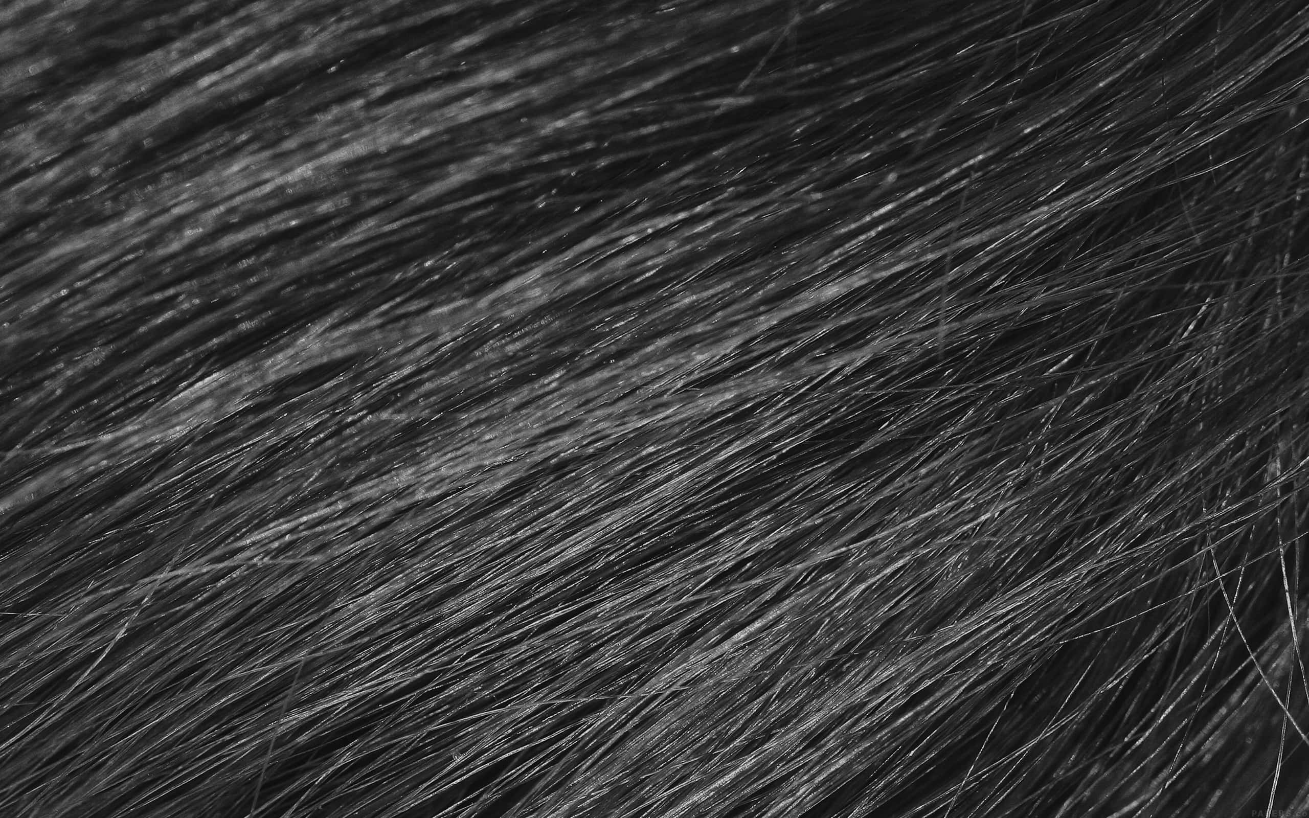 closeup, black, textured hair, 2K Desktop Wallpaper