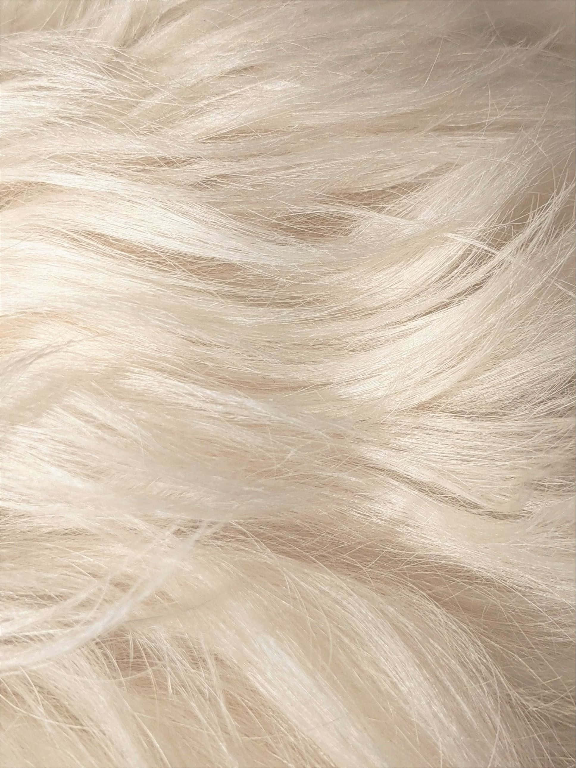 blonde textured hair, closeup, soft creamy white fur, 2K Phone Wallpaper