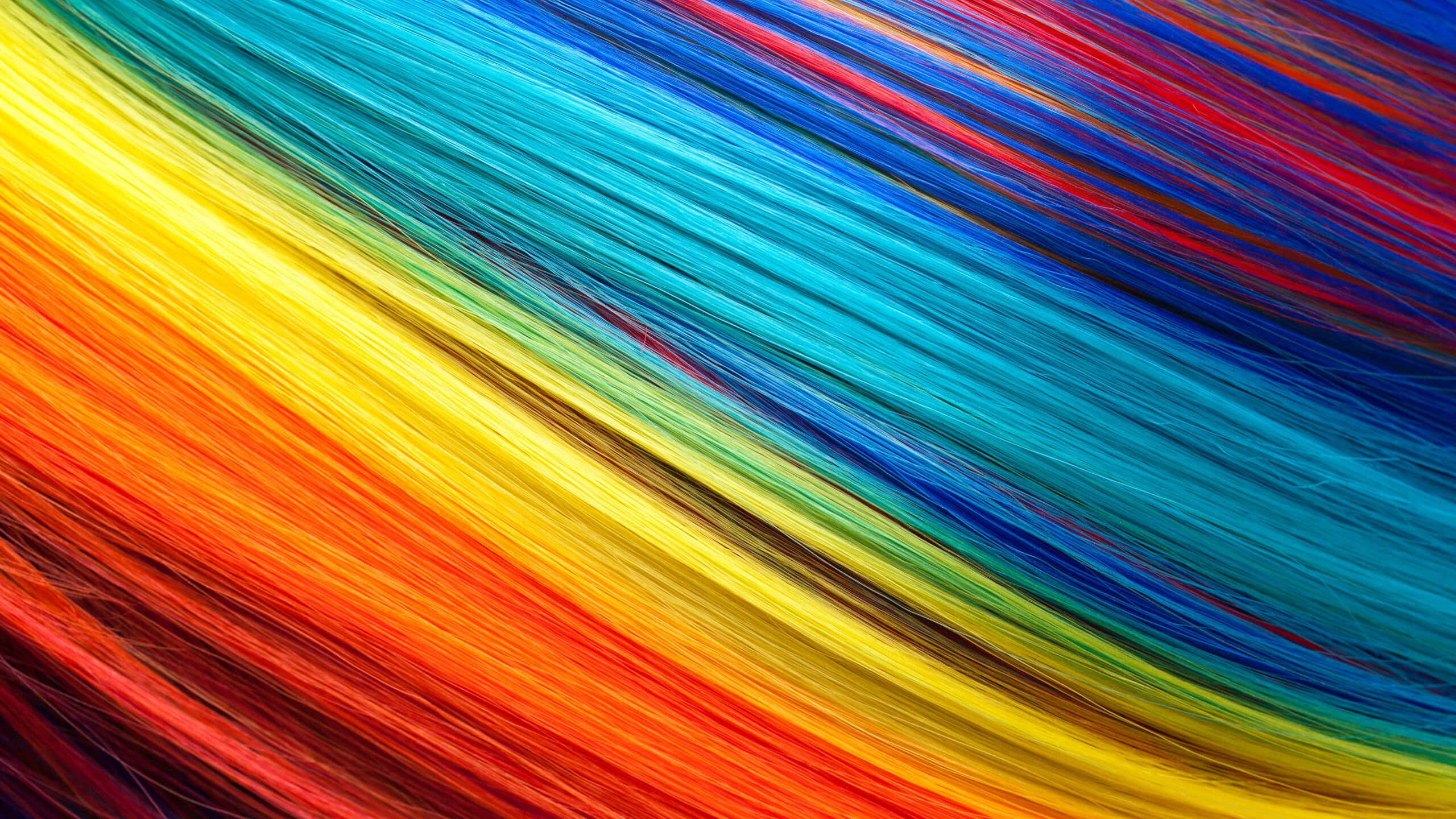 natural texture, textured hair, rainbow-colored fibers, 2K Desktop Wallpaper