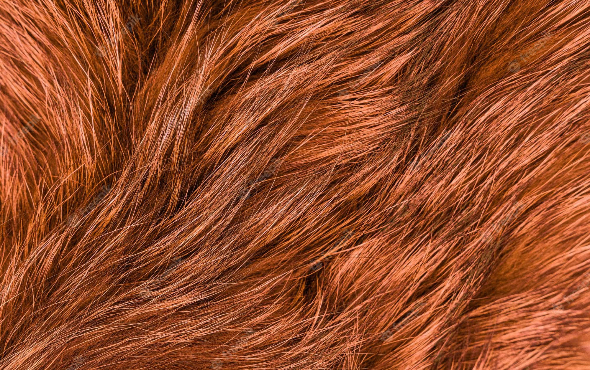 auburn, textured hair, closeup, Full HD Desktop Wallpaper