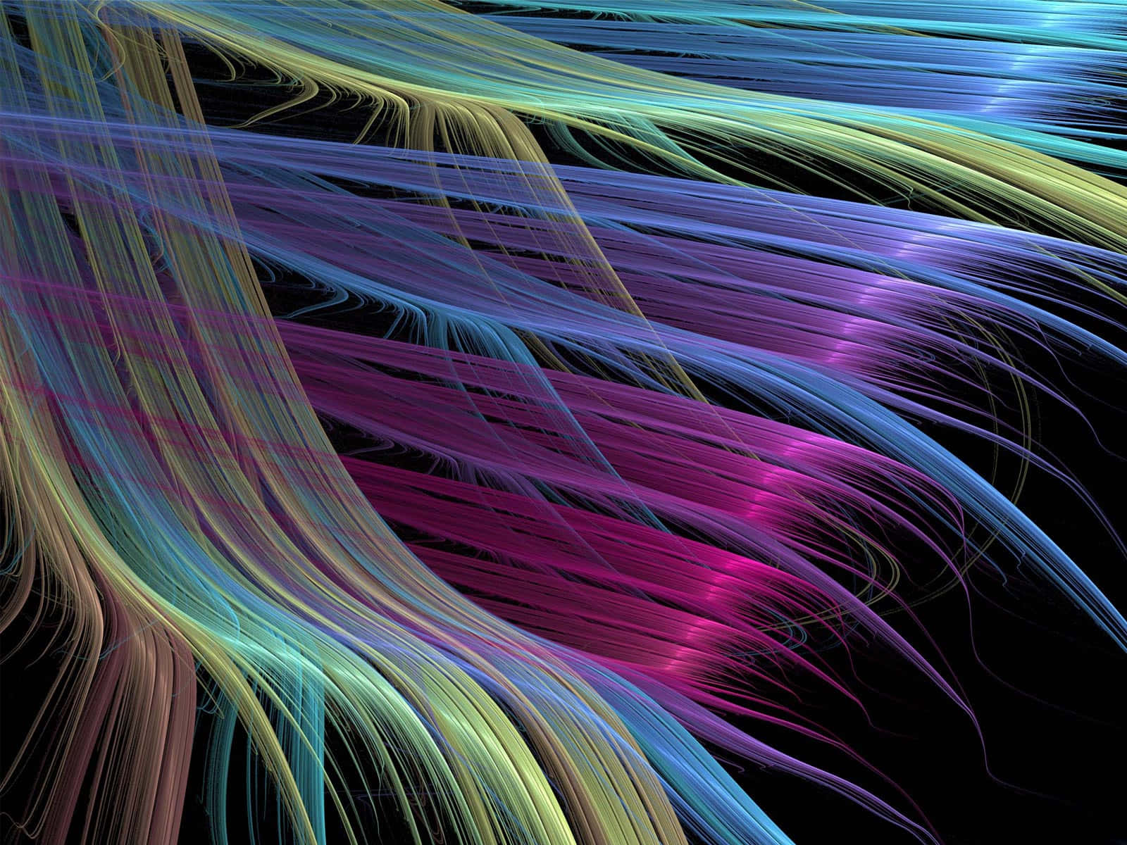 neon ribbons, vibrant neon, black void, HD Desktop Wallpaper