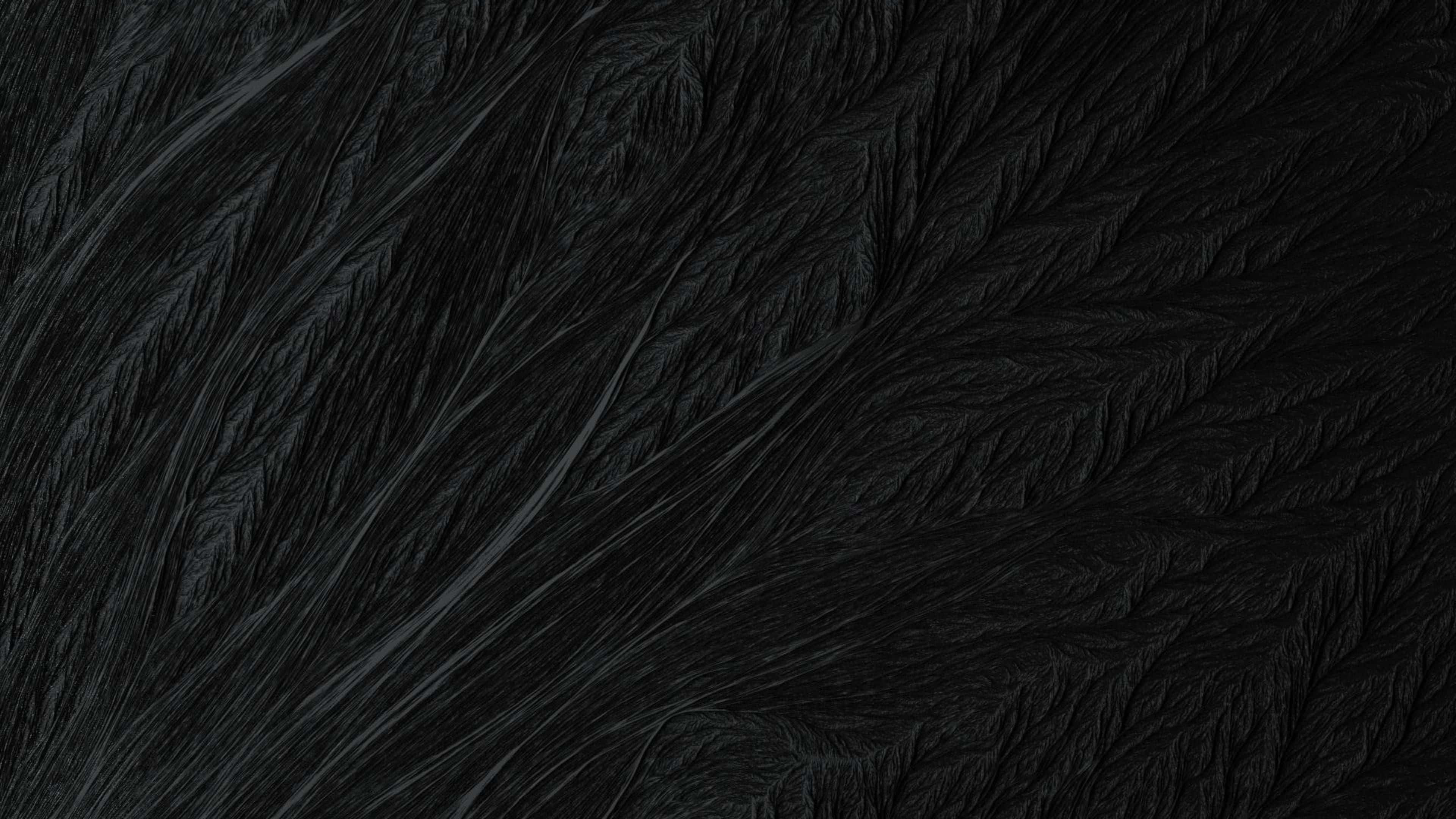 black textured paint surface, feather-like patterns, deep black, 4K Desktop Wallpaper
