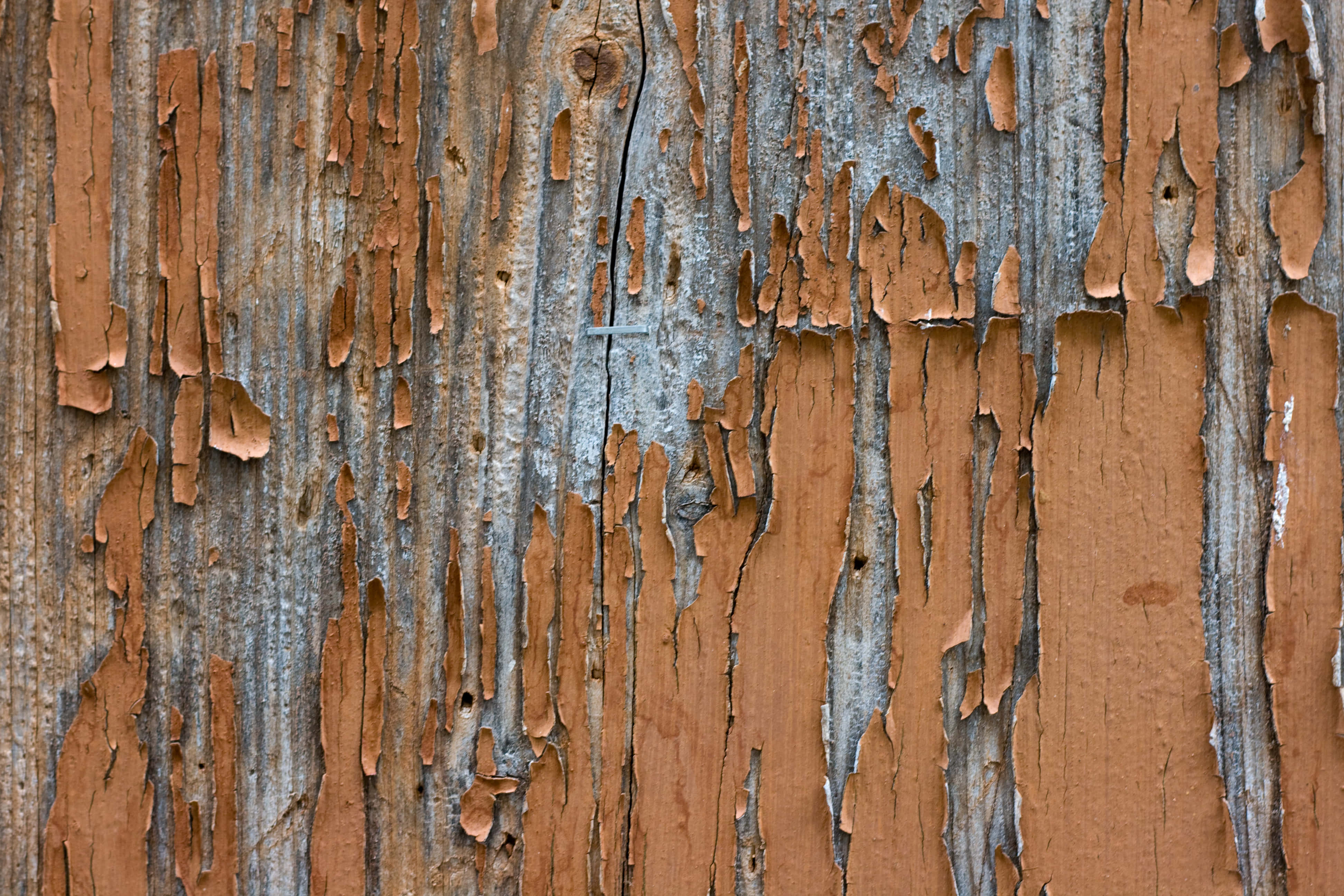 old wood, weathered wood, peeling orange paint, 4K Desktop Wallpaper