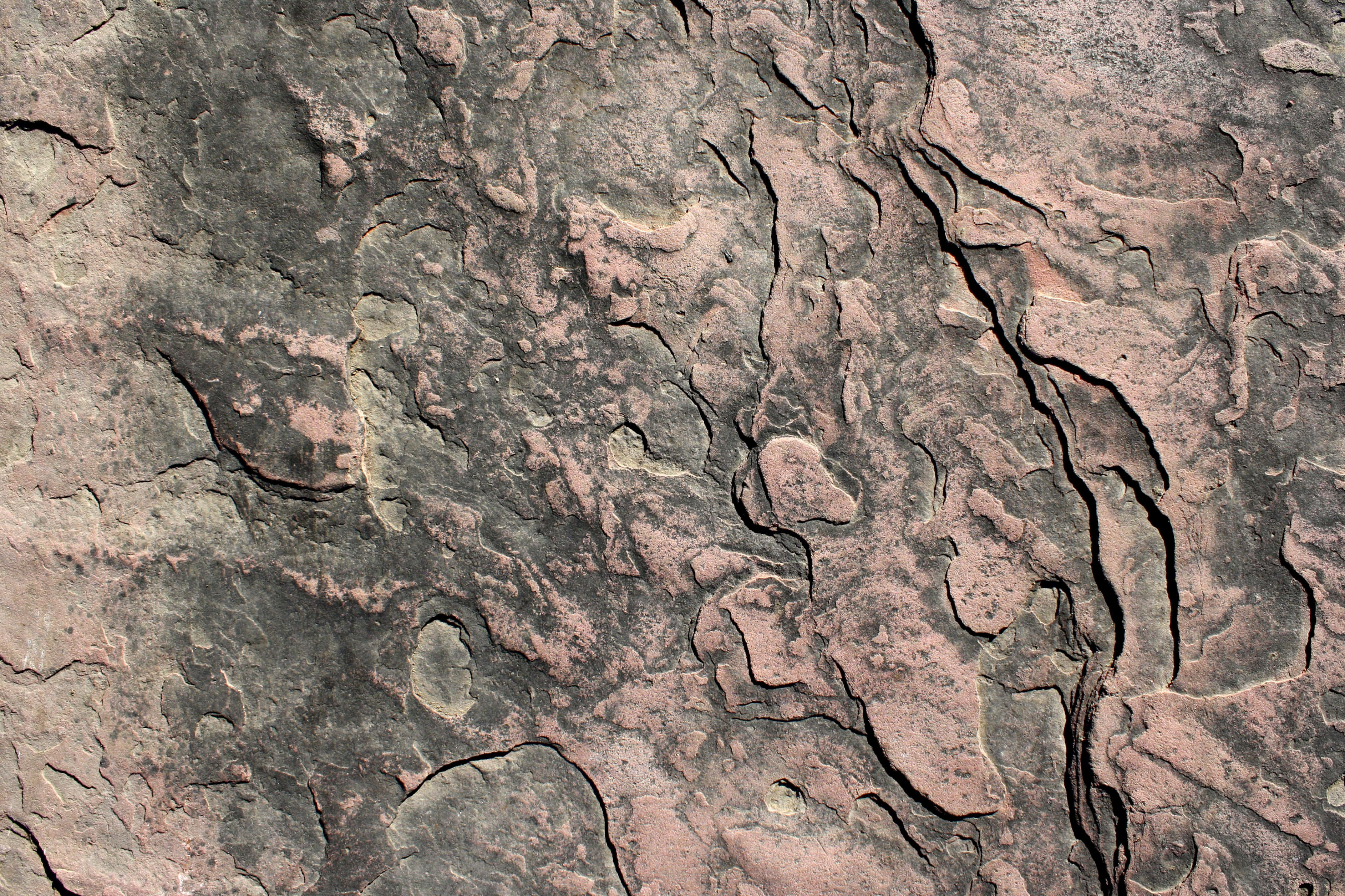stone, weathered rock, intricate cracks, 2K Desktop Wallpaper