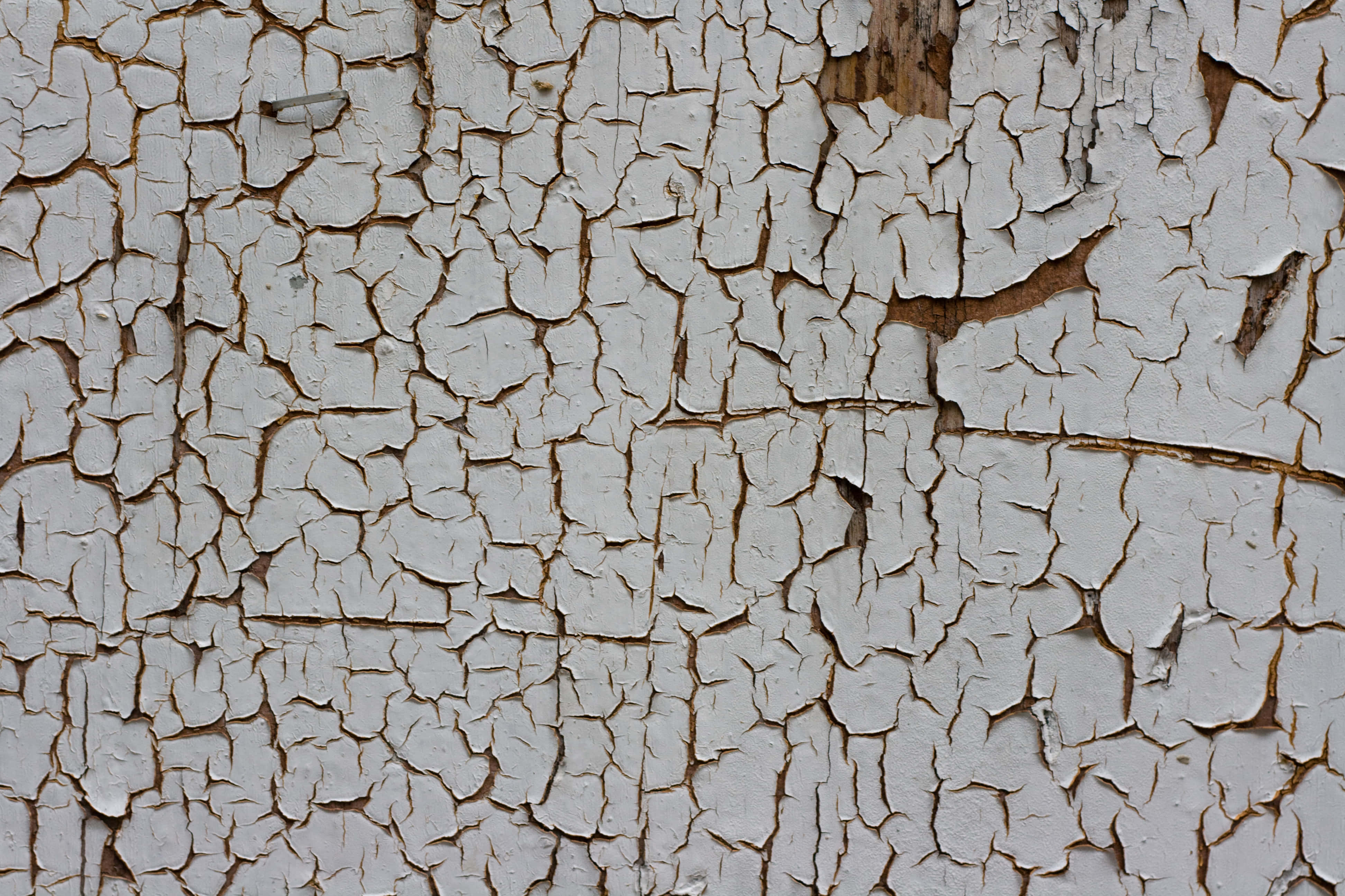 cracked paint, white paint, wooden surface, 4K Desktop Wallpaper