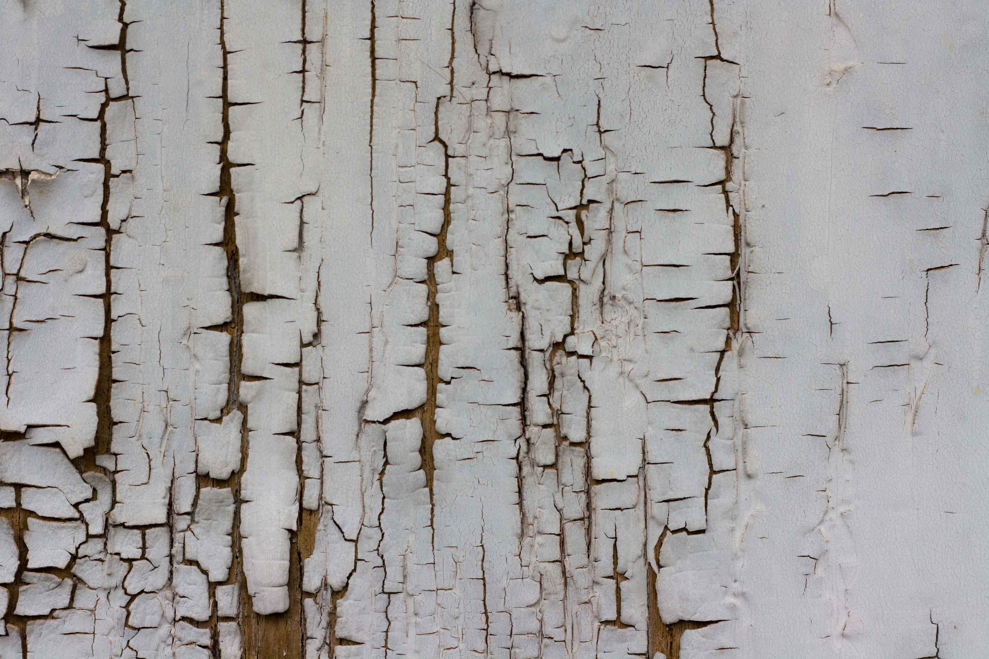 aged wall, weathered white paint, cracking, 4K Desktop Wallpaper