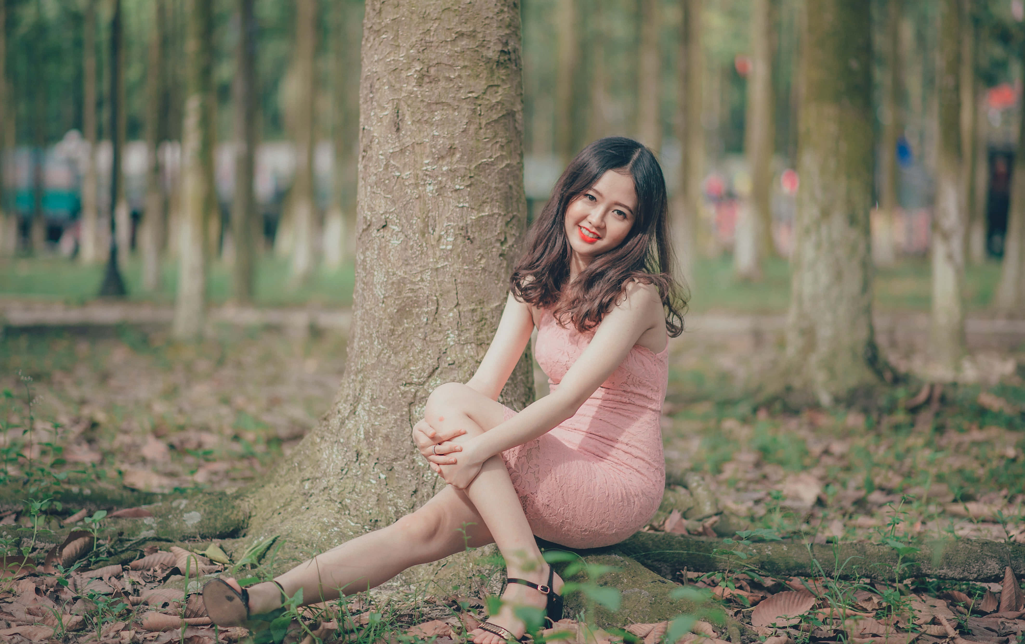 Thai Girl, pink dress, sun-dappled forest, 4K Desktop Wallpaper
