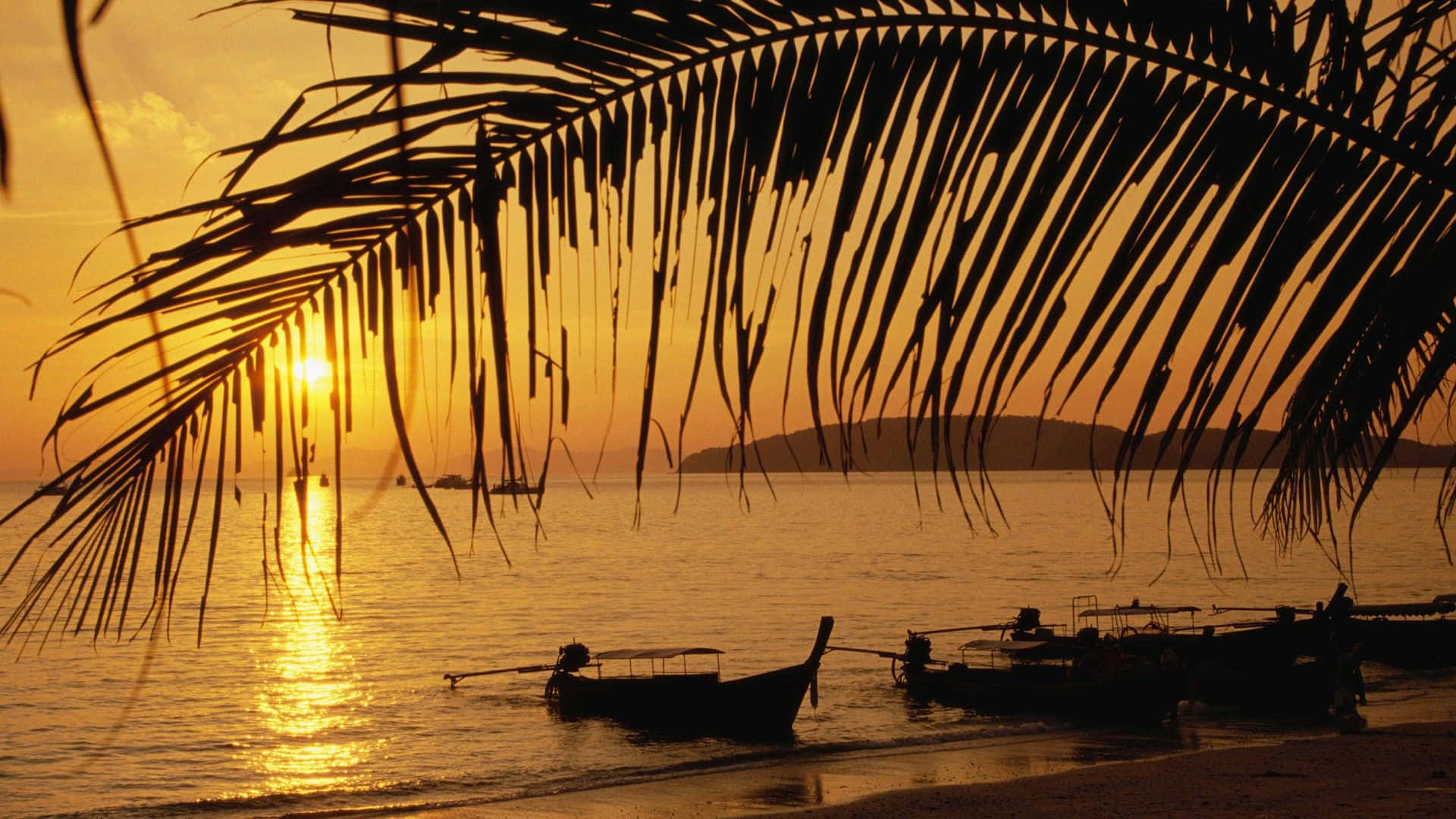 Thailand Beach, sunset, palm fronds, Full HD Desktop Wallpaper