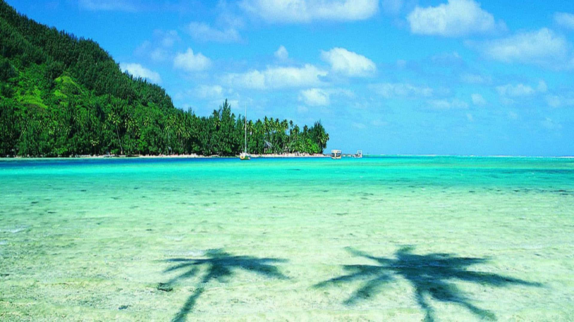Thailand Beach, turquoise water, palm tree shadows, Full HD Desktop Wallpaper