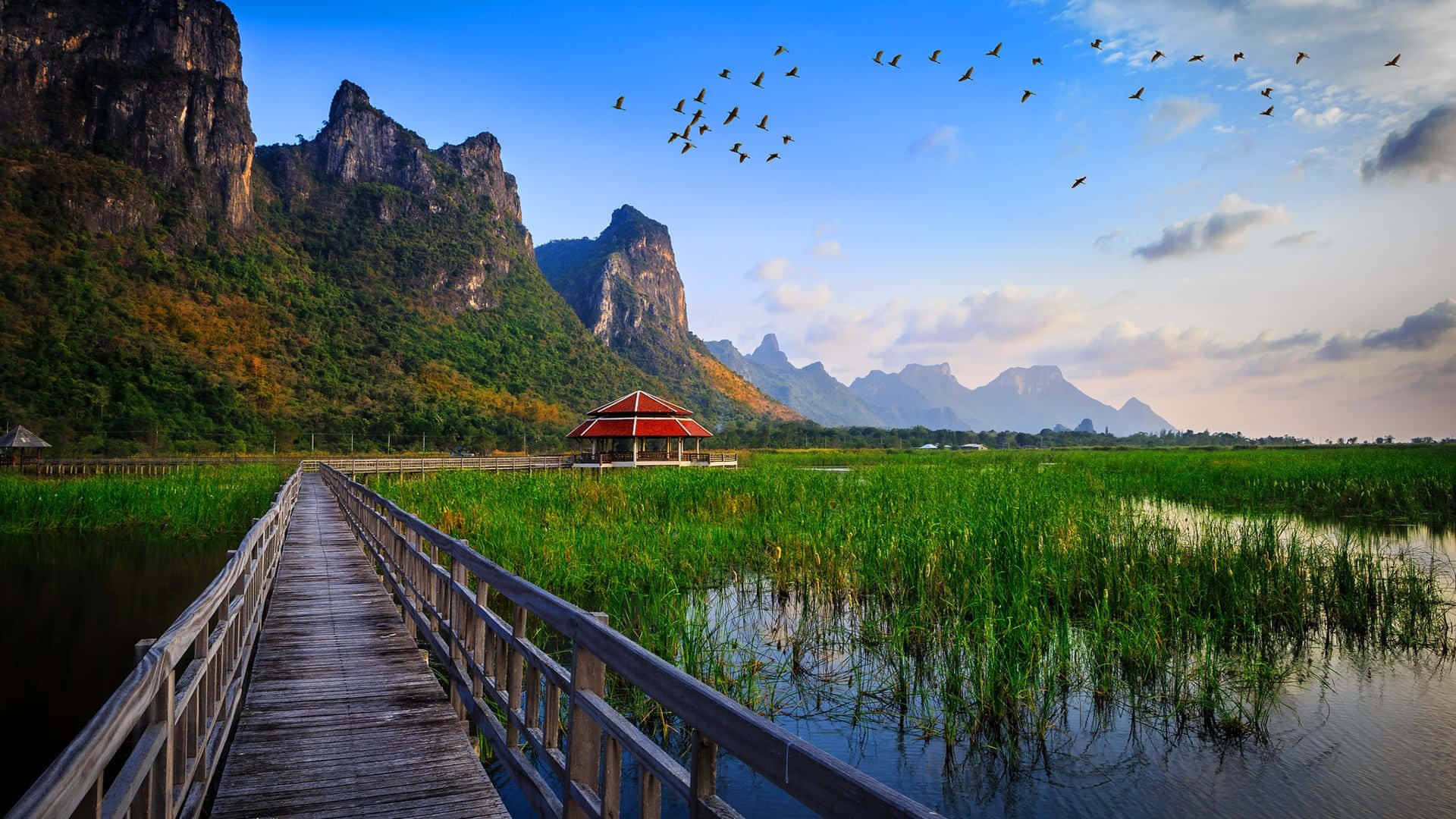 wooden boardwalk, lush green wetlands, red-roofed pavilion, Full HD Desktop Wallpaper