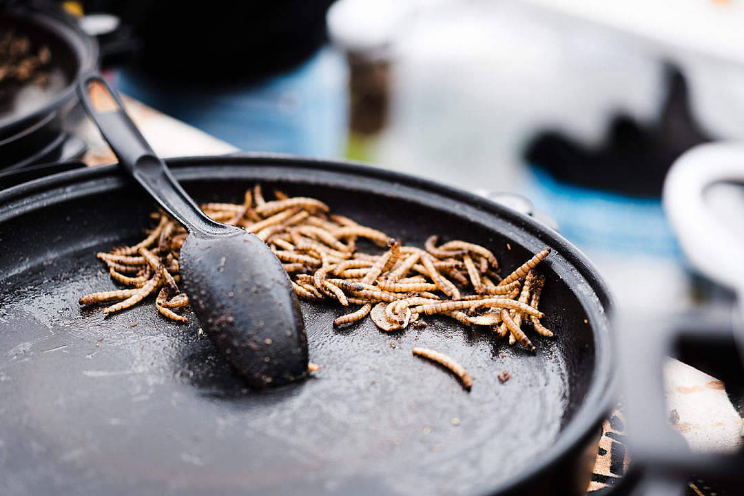 Thailand, fried silkworm, black skillet, SD Desktop Wallpaper