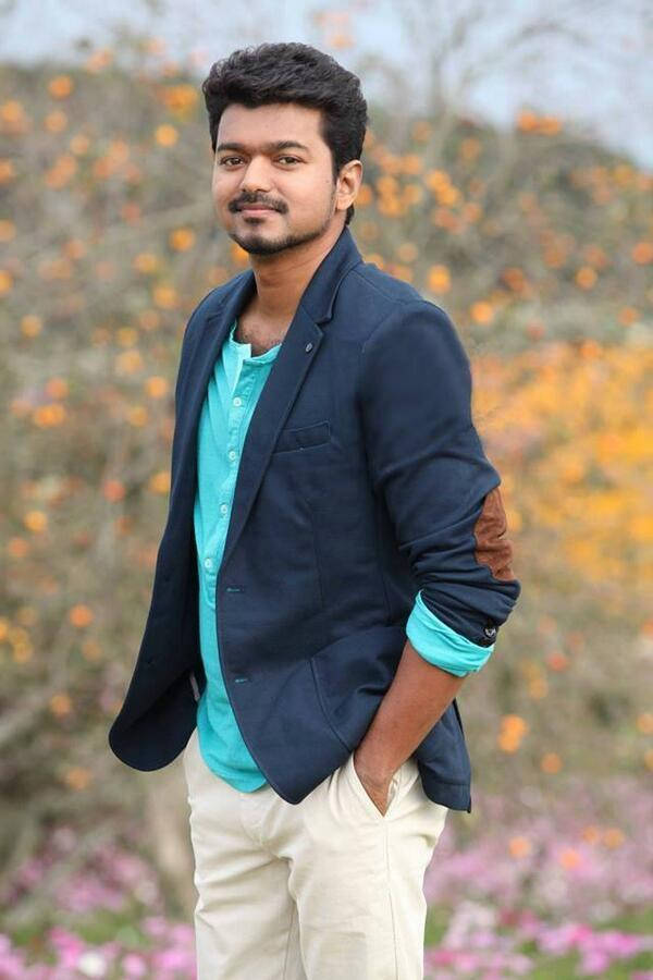 Thalapathy HD, navy blazer, teal shirt, SD Phone Wallpaper