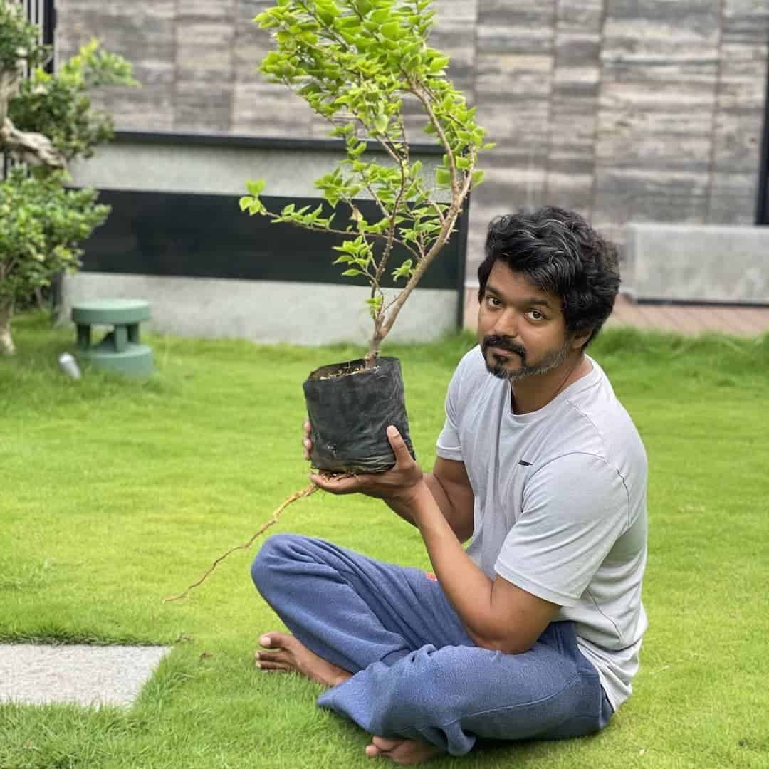 Thalapathy HD, garden, vibrant green grass, SD Desktop Wallpaper