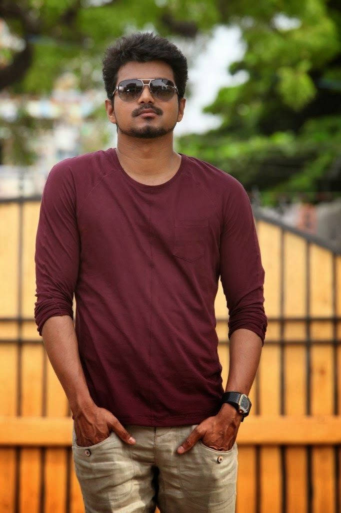 Thalapathy HD, maroon shirt, sunglasses, SD Phone Wallpaper