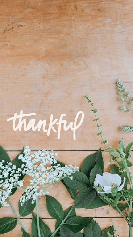 Thankful, white flowers, greenery, SD Phone Wallpaper