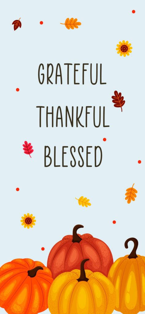 cute fall phone, grateful thankful blessed, vibrant orange pumpkins, SD Phone Wallpaper