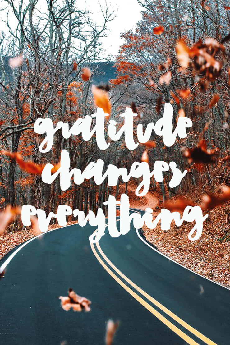 gratitude changes everything, winding road, forest, SD Phone Wallpaper