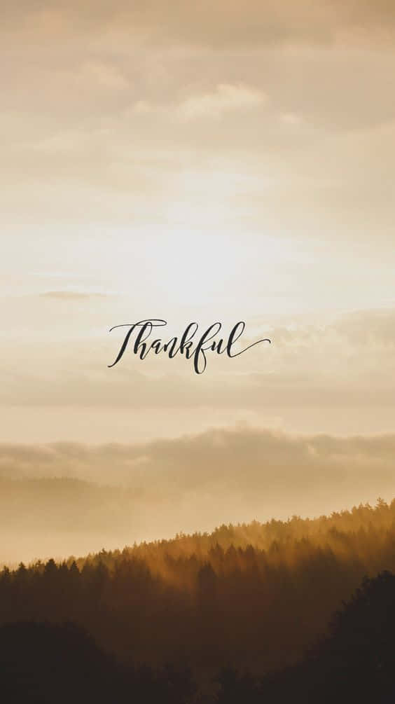 Gold Thankful Phone Theme, golden sunrise, misty forest hills, SD Phone Wallpaper