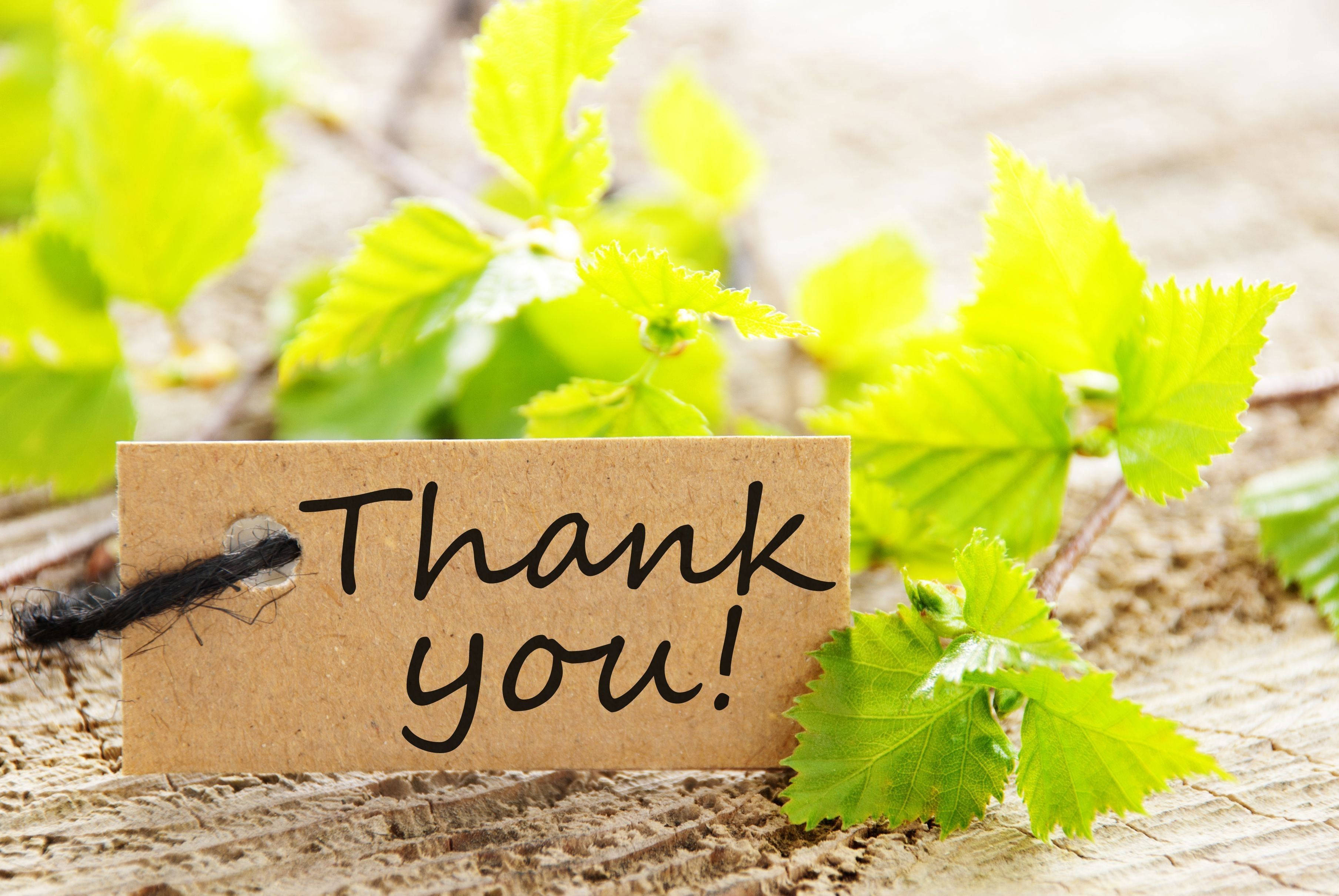 Thank you!, brown paper tag, black cursive, 2K Desktop Wallpaper