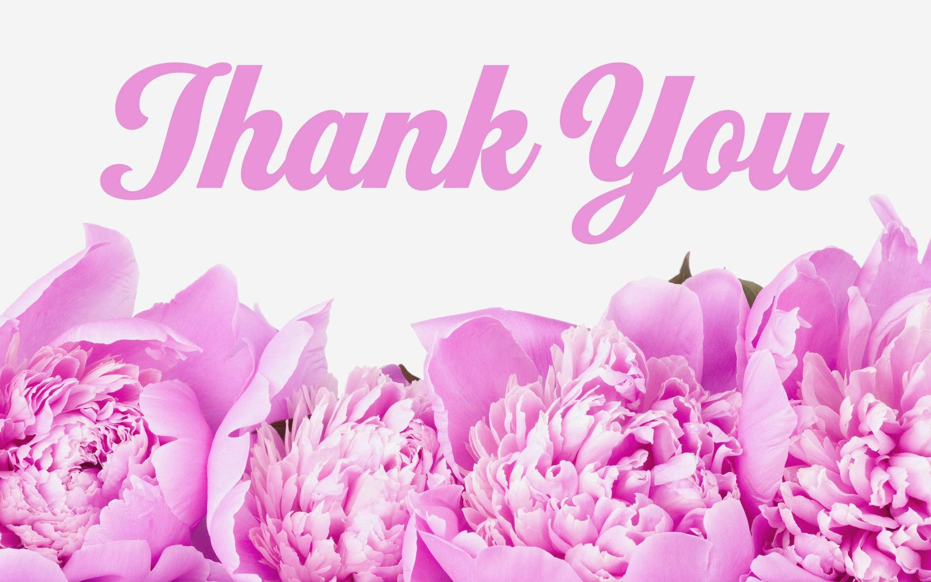 pink peonies, elegant cursive 'Thank You' text, soft white background, Full HD Desktop Wallpaper