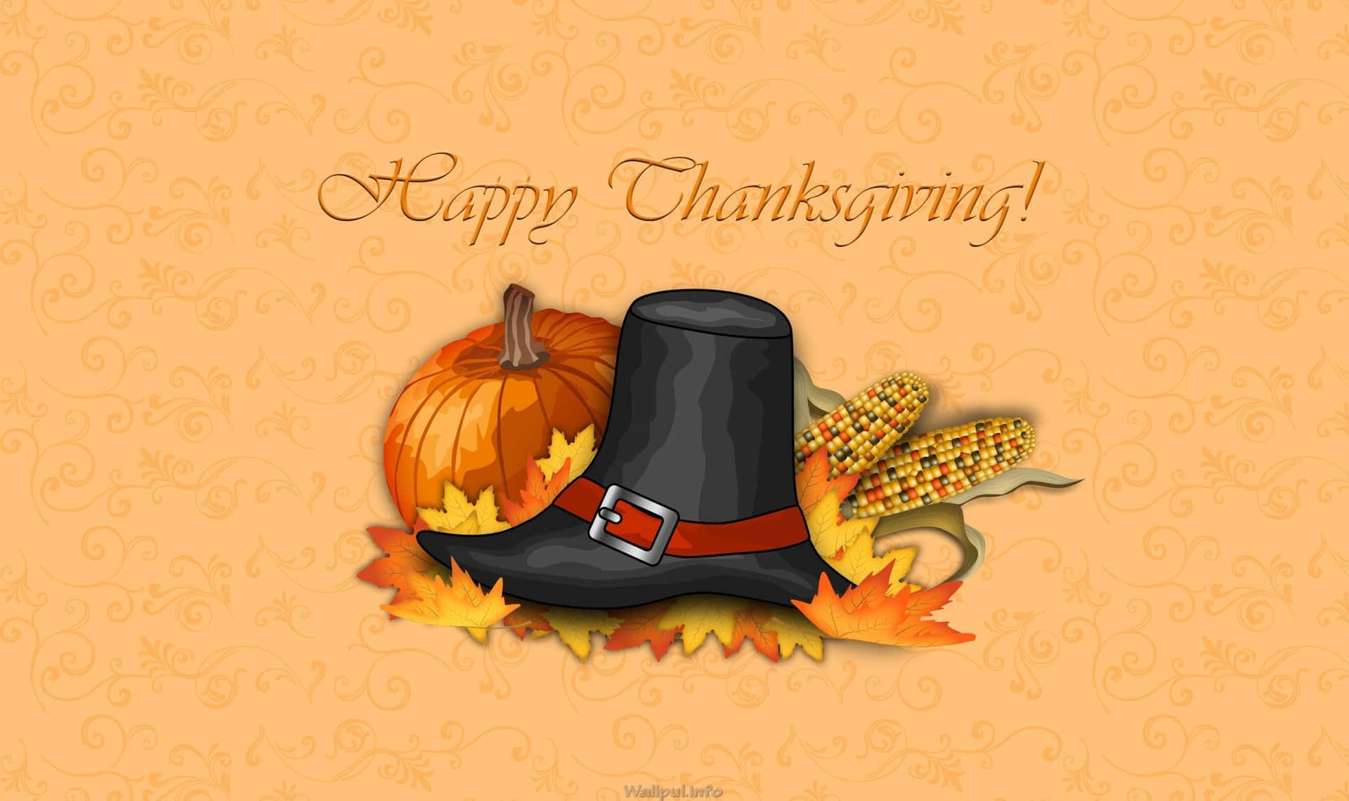 Thanksgiving, pilgrim hat, pumpkin, Full HD Desktop Wallpaper