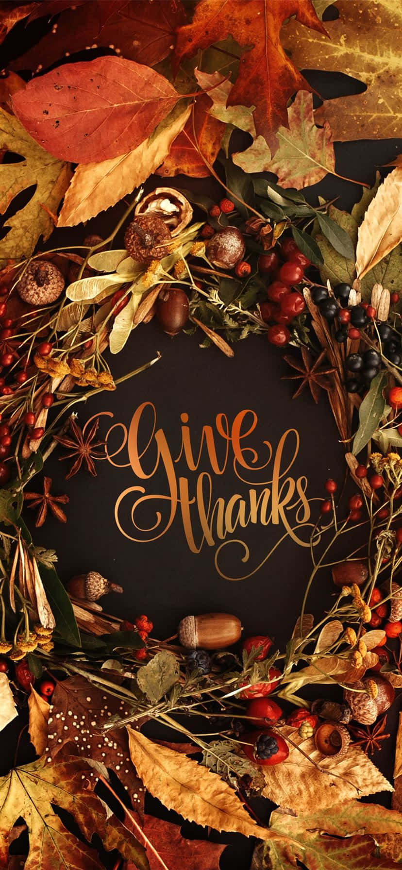 Happy Thanksgiving Desktop, autumn leaves, acorns, HD Phone Wallpaper