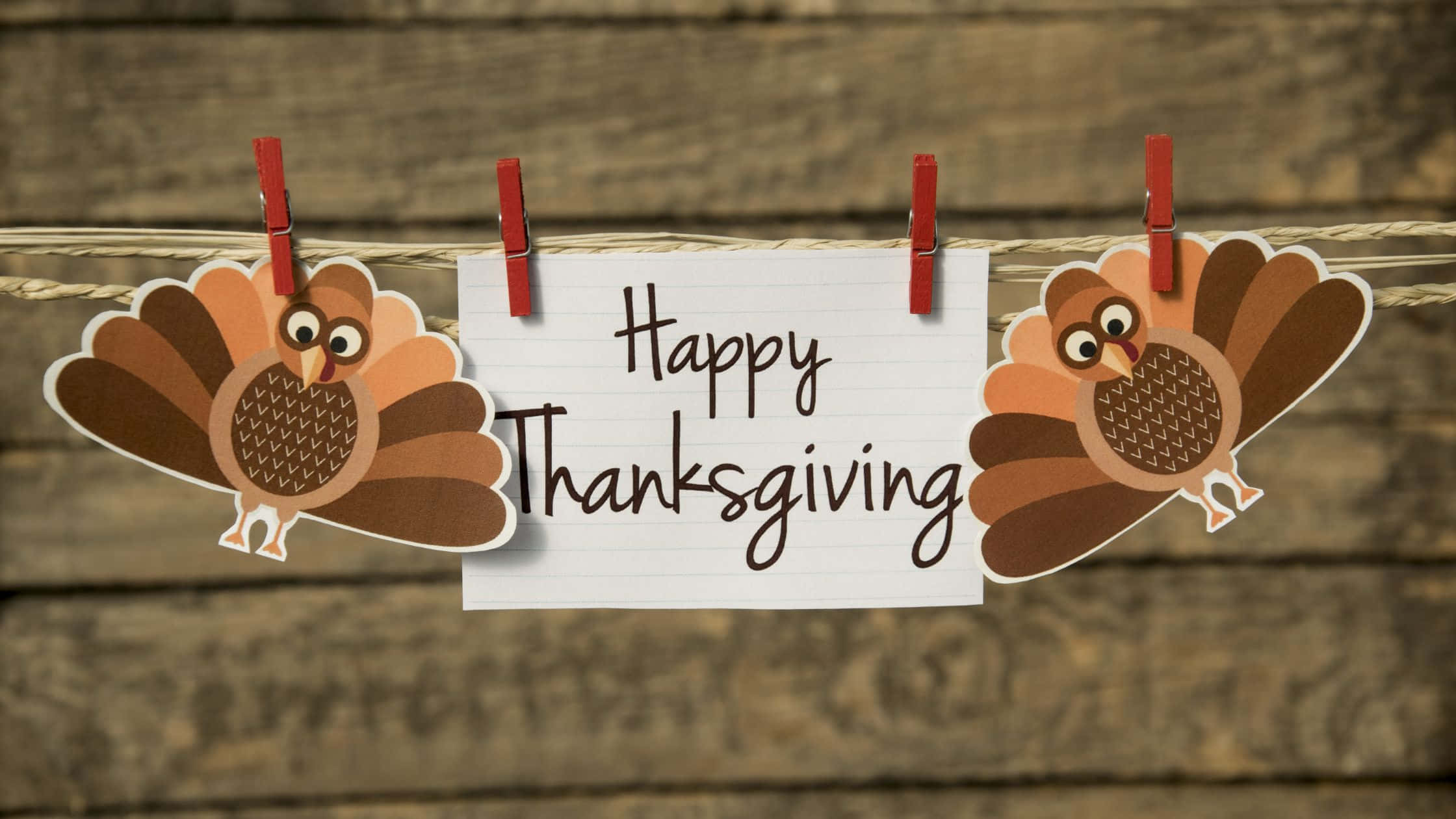 Thanksgiving, desktop, cartoon turkey cutouts, Full HD Desktop Wallpaper