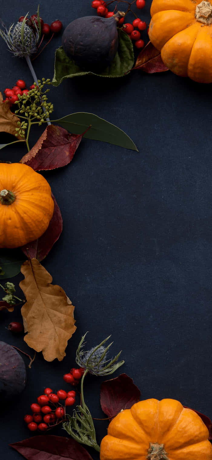 Thanksgiving Gnome, autumn harvest, pumpkins, HD Phone Wallpaper