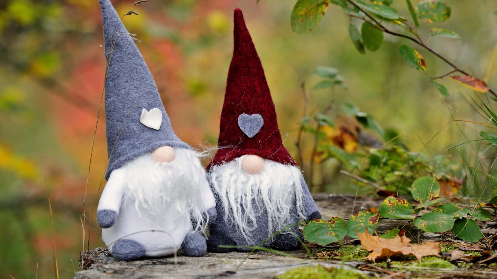 Thanksgiving Gnome, woolen gnomes, heart patches, Full HD Desktop Wallpaper