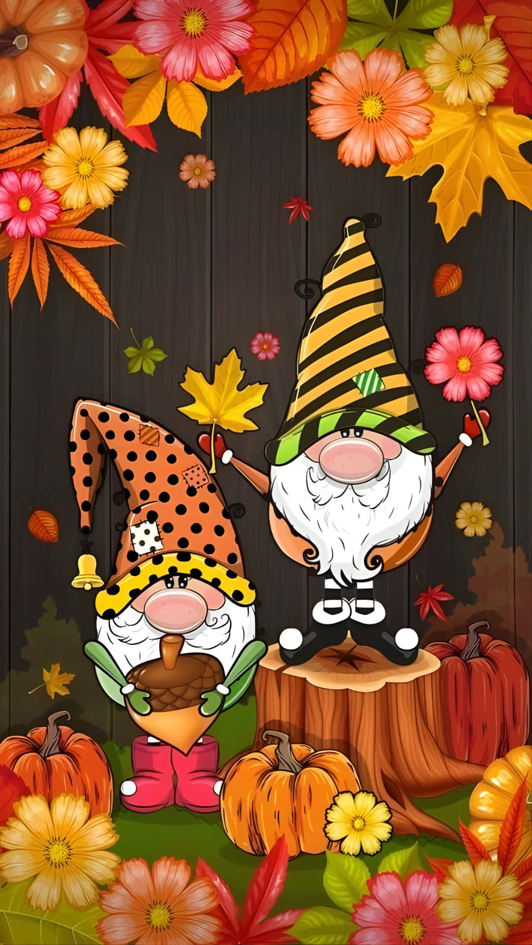 Thanksgiving Gnome, autumn attire, pumpkins, Full HD Phone Wallpaper