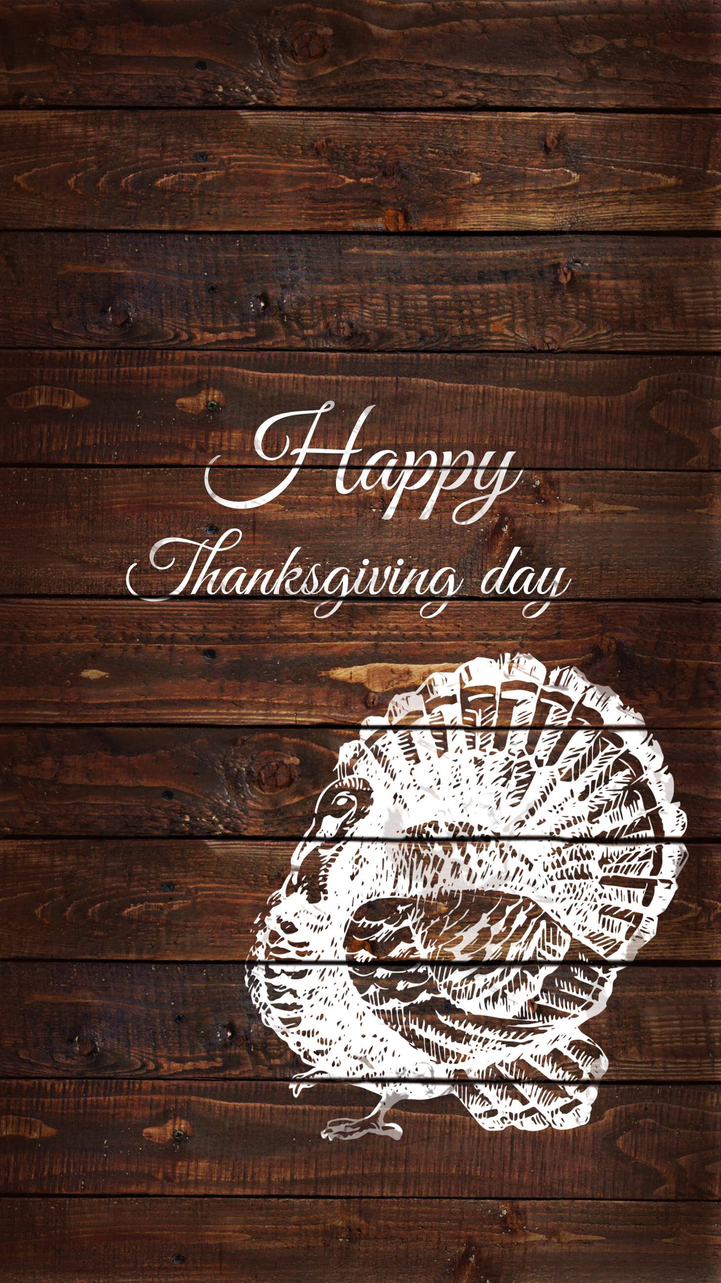 Happy Thanksgiving day, white illustrated turkey, detailed feathers, 2K Phone Wallpaper