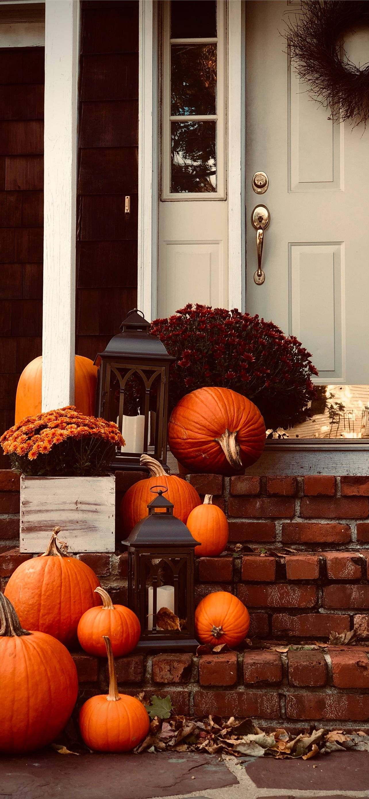 pumpkins, porch, autumn, 2K Phone Wallpaper