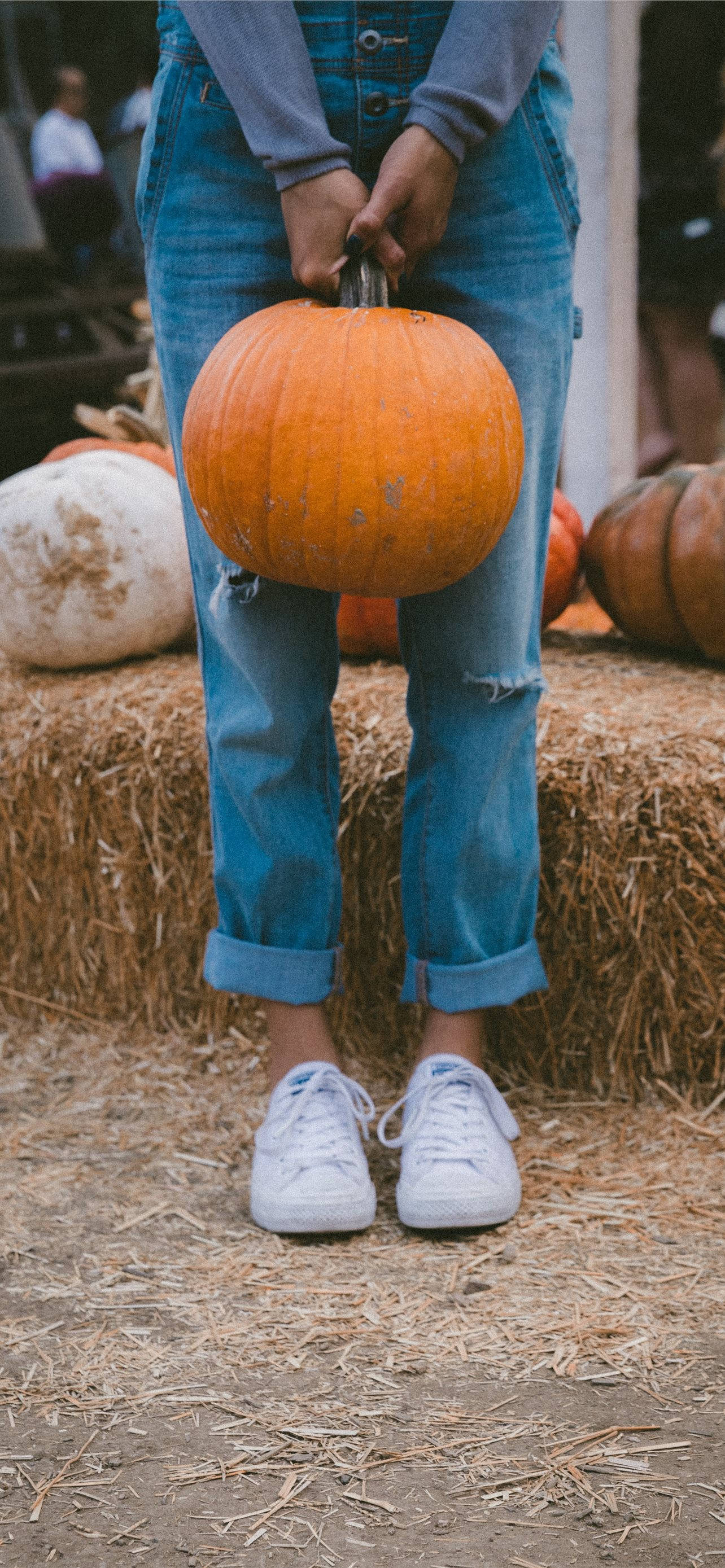 iPhone, bright orange pumpkin, blue jeans, 2K Phone Wallpaper