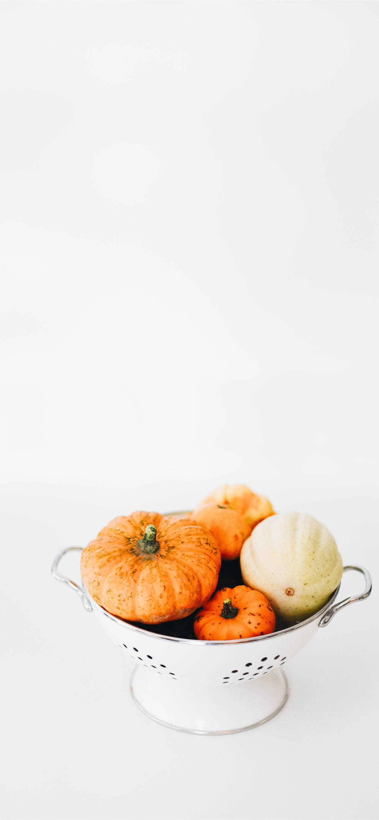 pumpkins, gourds, white colander, 2K Phone Wallpaper