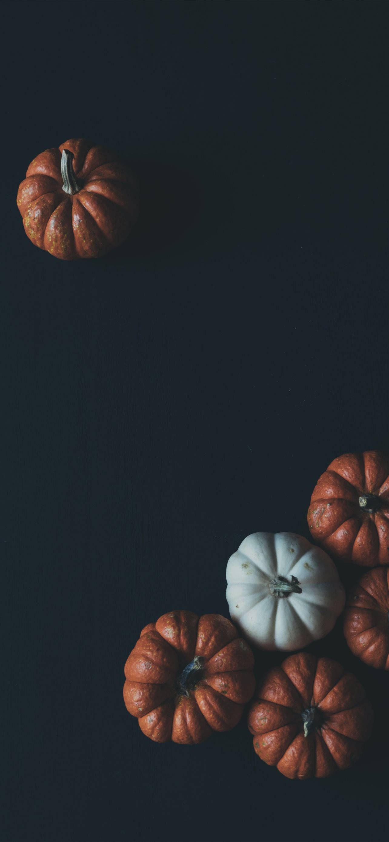 pumpkins, black background, autumn still life, 2K Phone Wallpaper