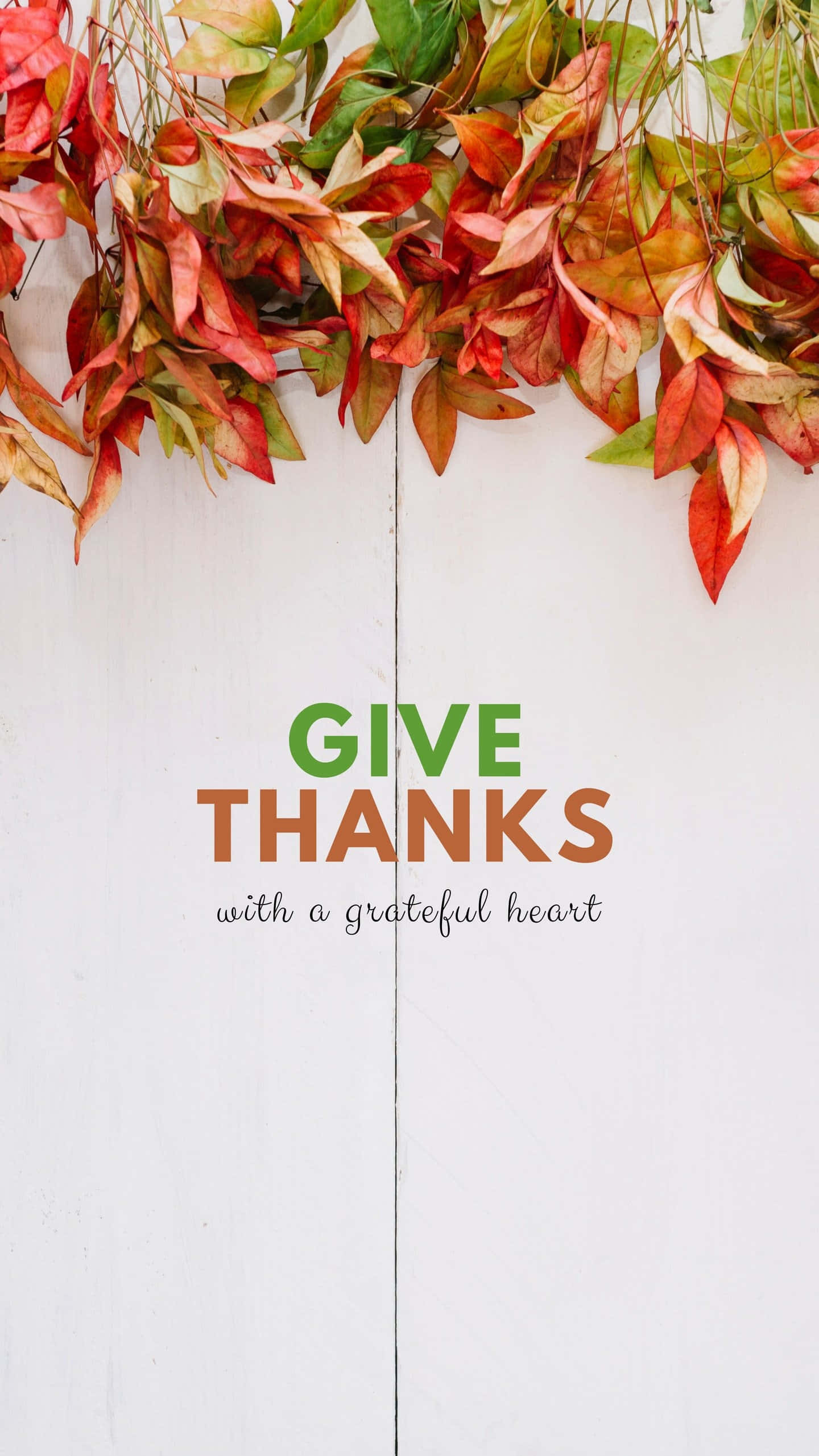 iPhone, Thanksgiving, red orange and green, 2K Phone Wallpaper