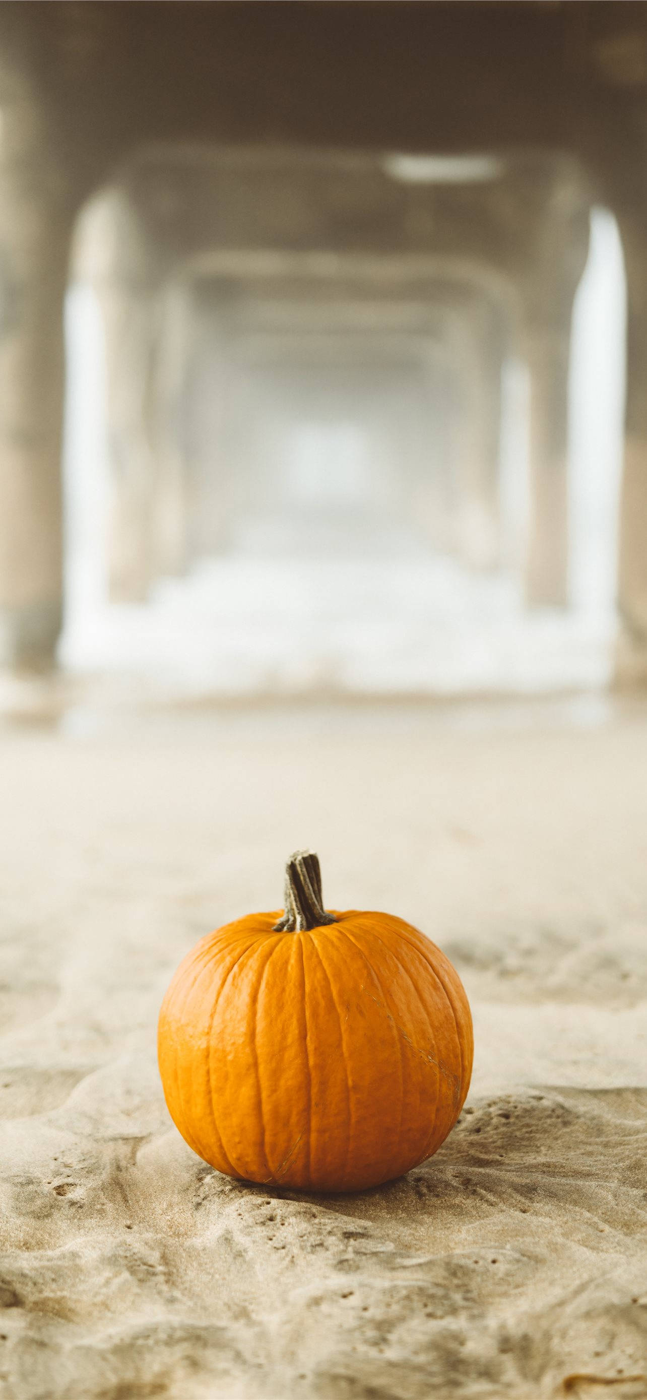 pumpkin, sand, concrete pier archway, 2K Phone Wallpaper
